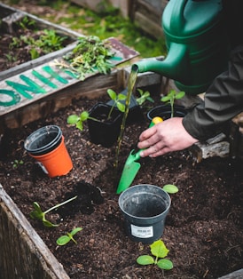 person holding green plastic shovel