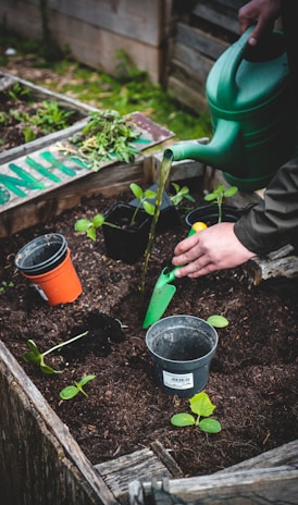 person holding green plastic shovel