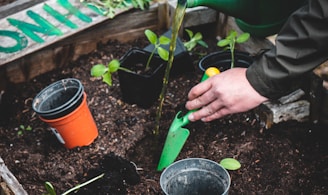 person holding green plastic shovel