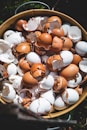 brown and white plastic egg toy