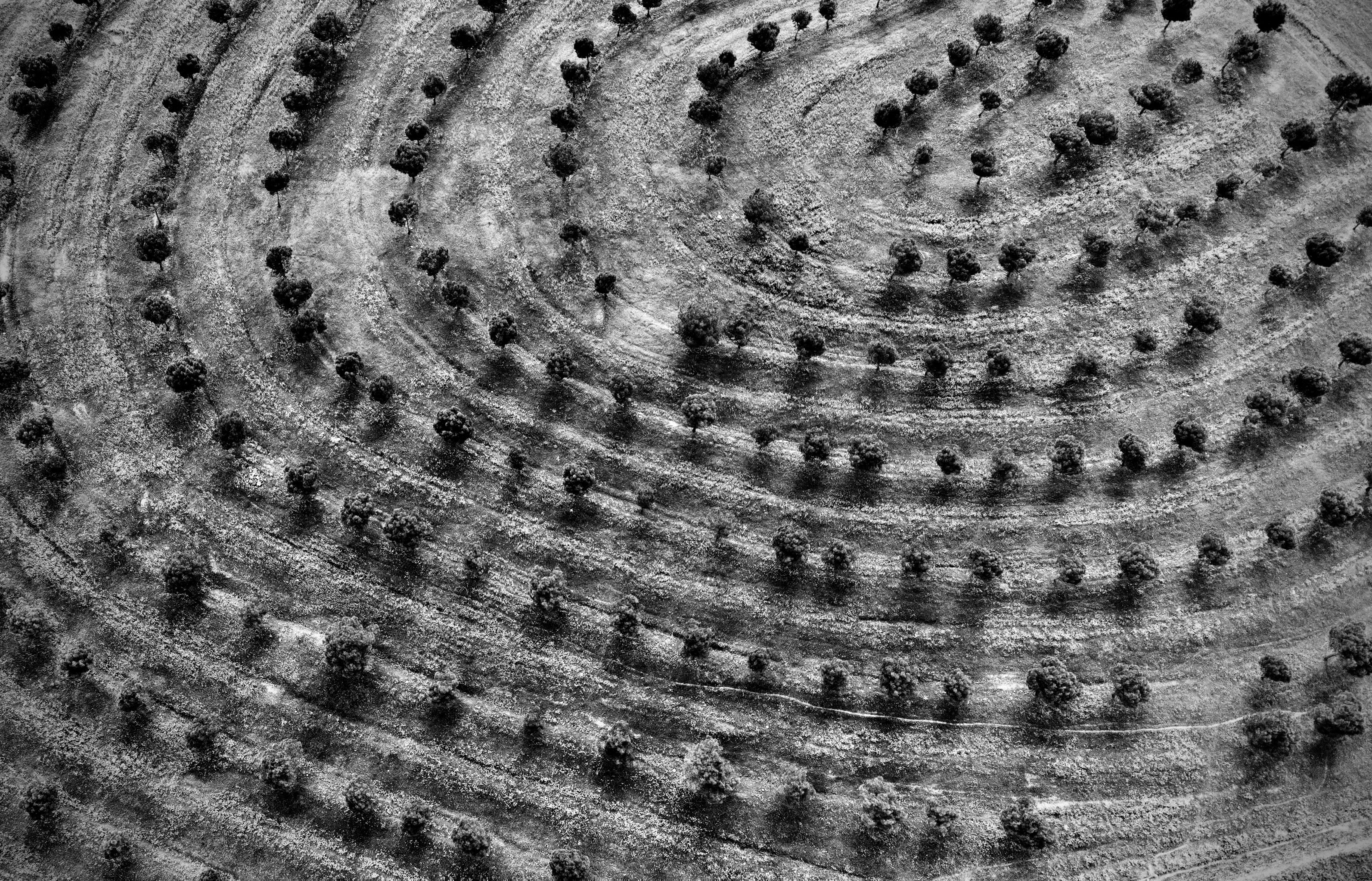 Photo by mouraonunes