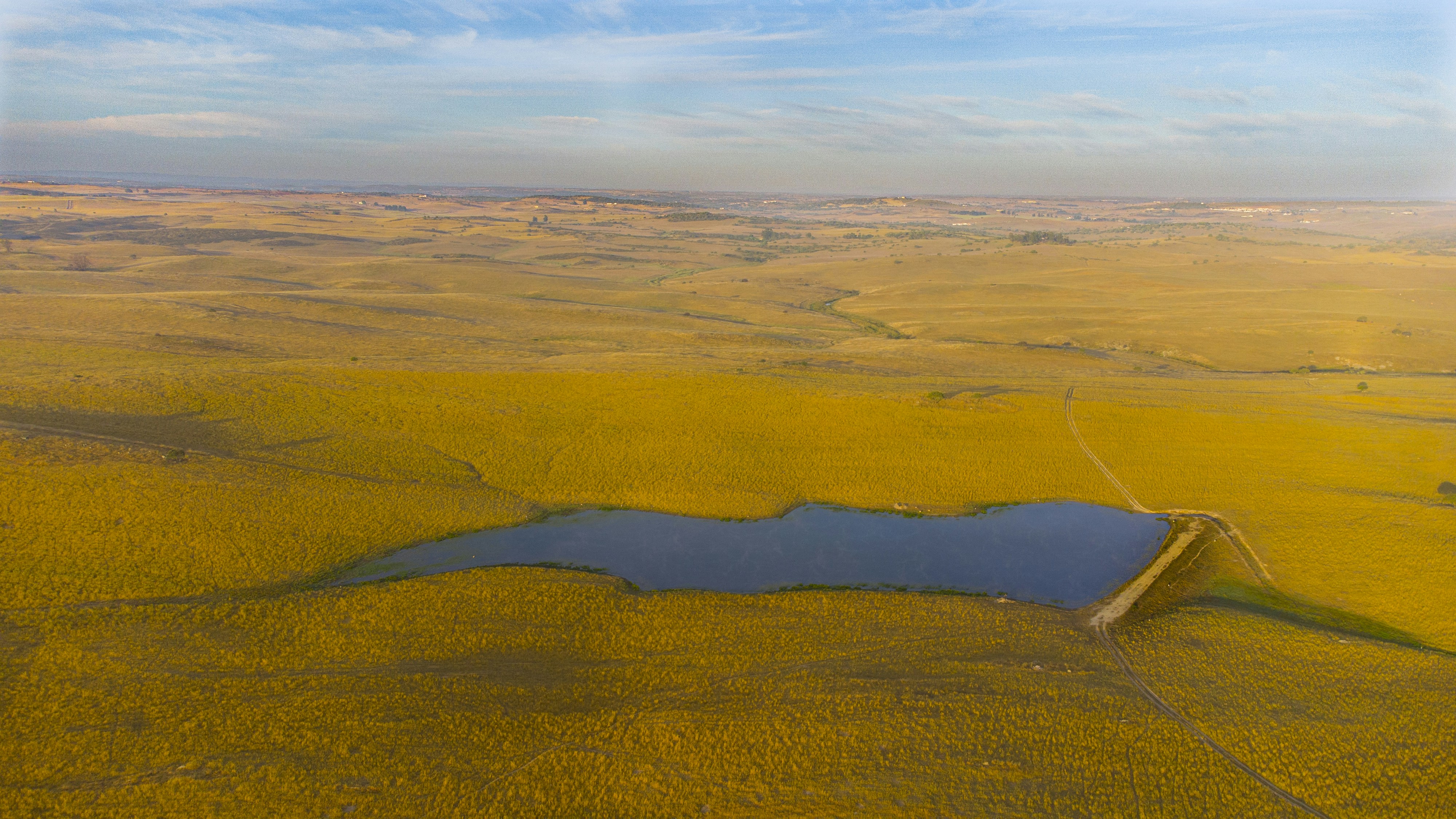 aerial view of green field during daytime