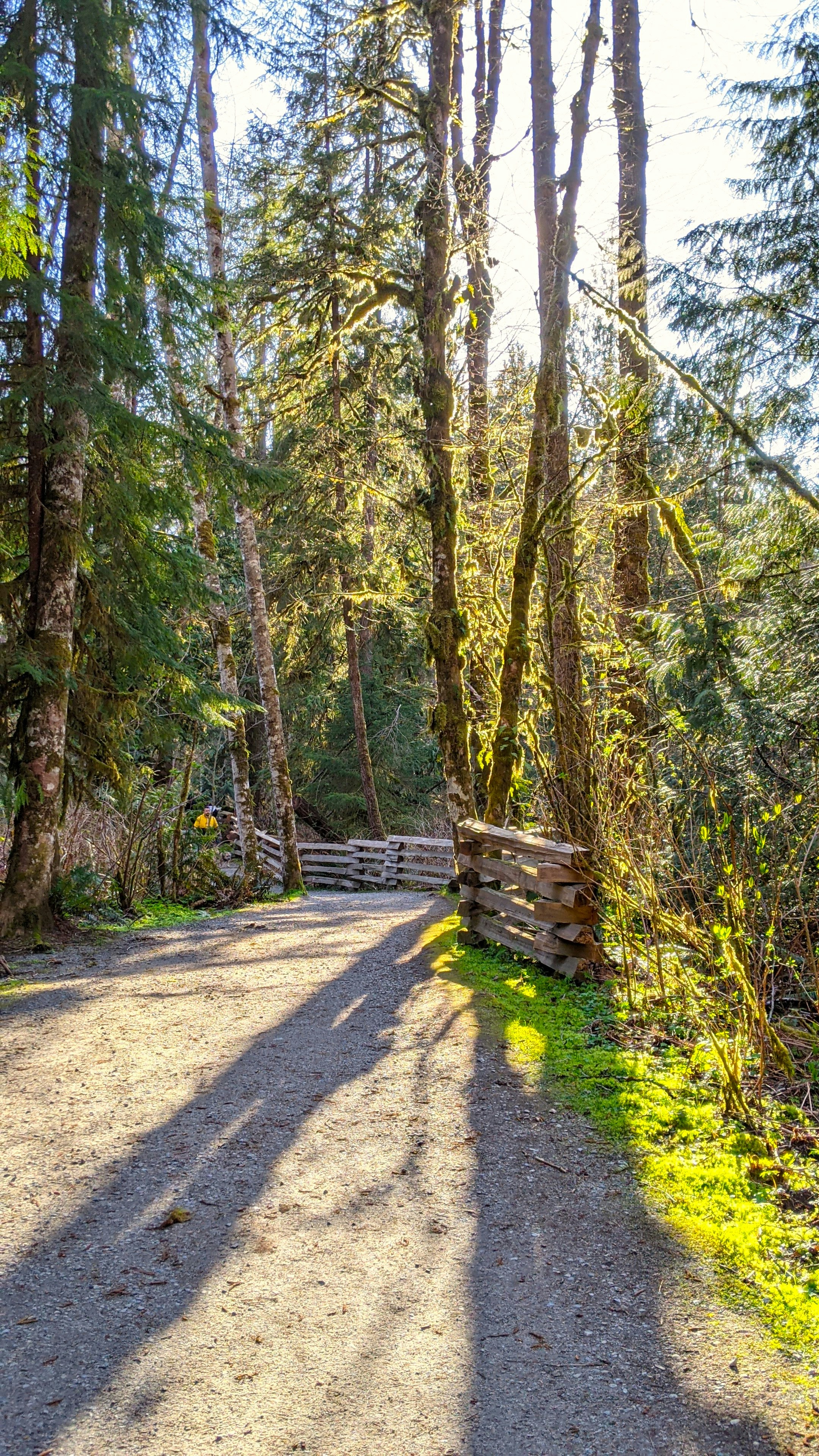 Globe highlighting Canada and United States