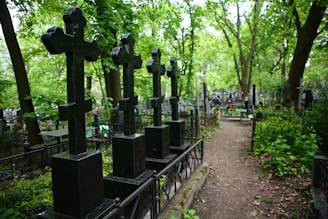 A serene cemetery scene featuring a row of dark stone crosses over headstones surrounded by lush green trees and foliage. A pathway lined with grass and leaves winds through the graveyard, leading the viewer's eye deeper into the background where more grave markers are visible.