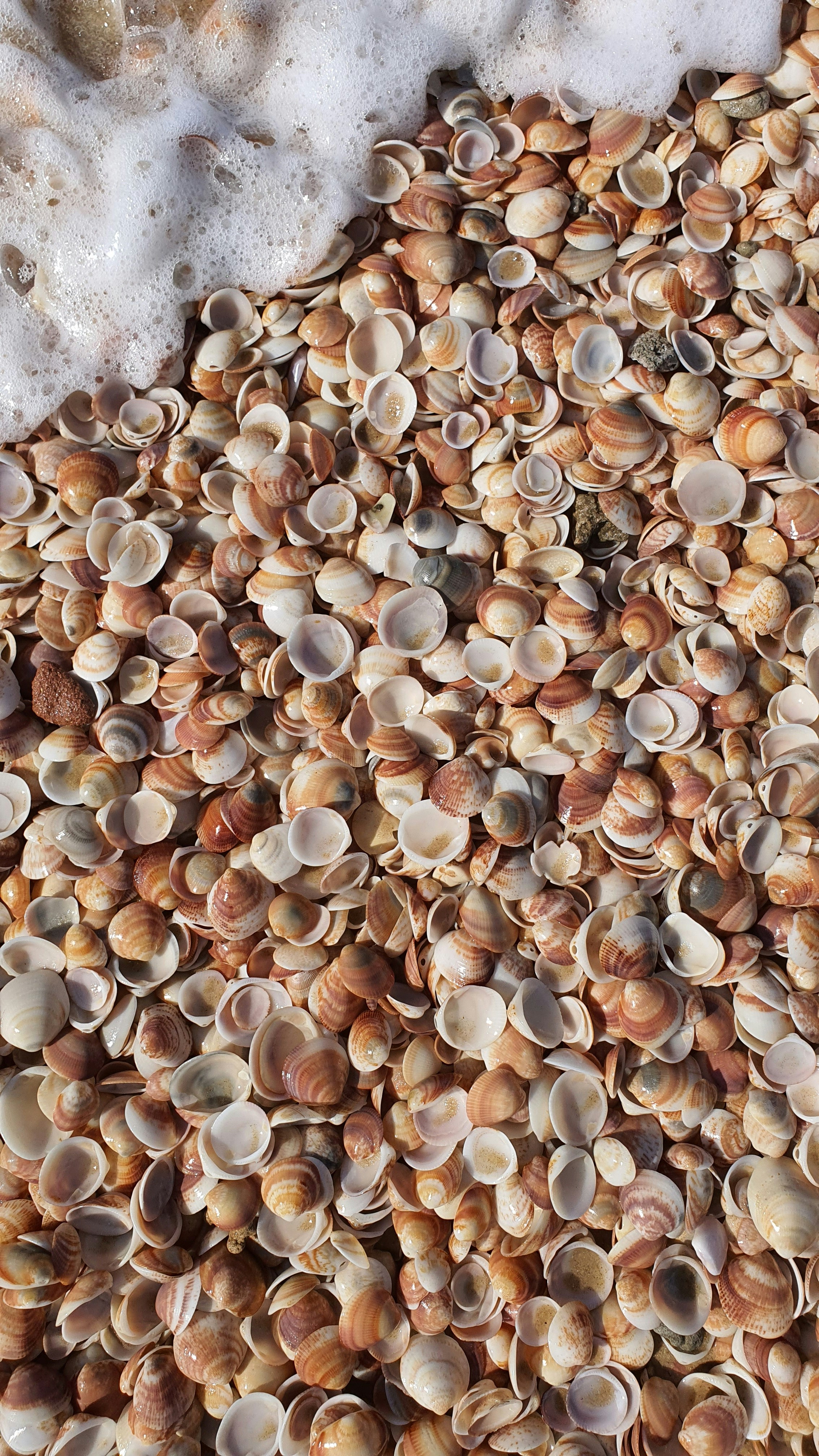 Photo by borisizmaylov