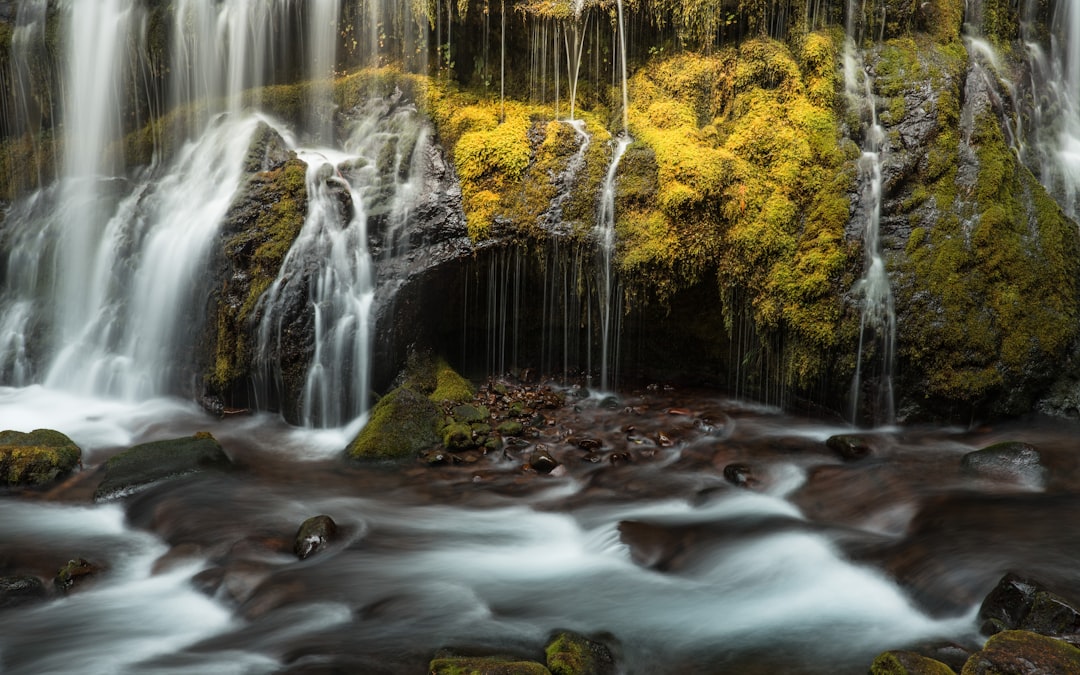 water falls in the middle of the forest