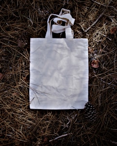 white paper bag on brown grass