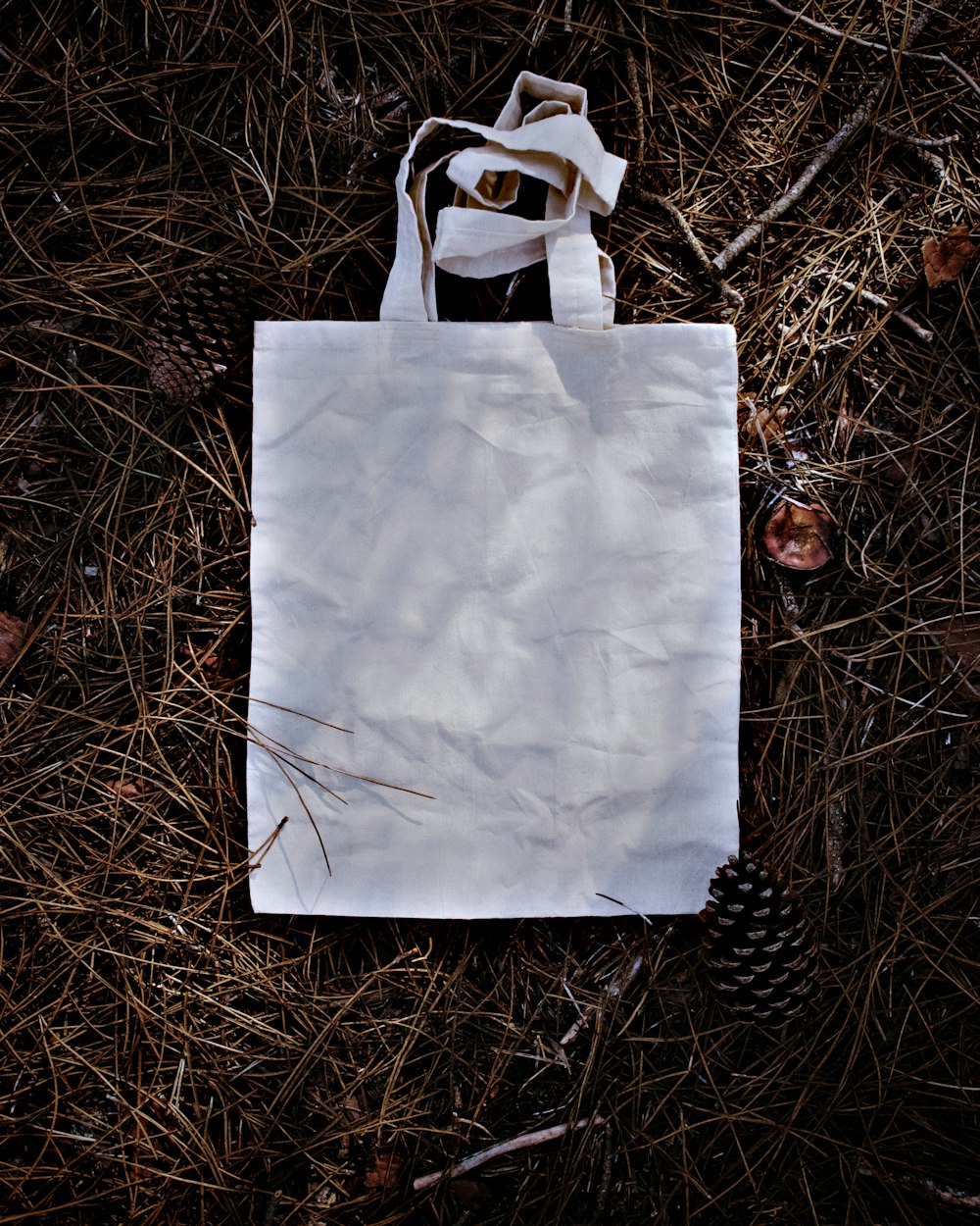 white paper bag on brown grass