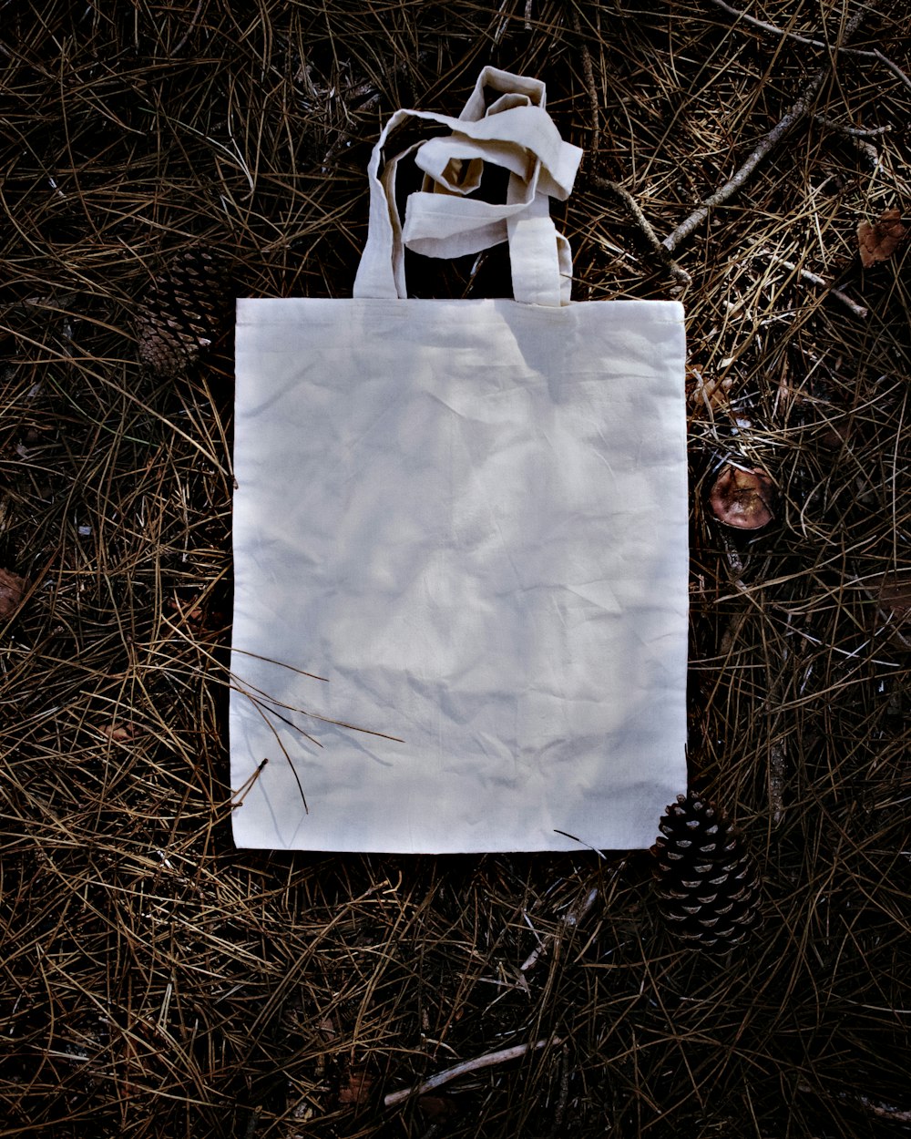 white paper bag on brown grass