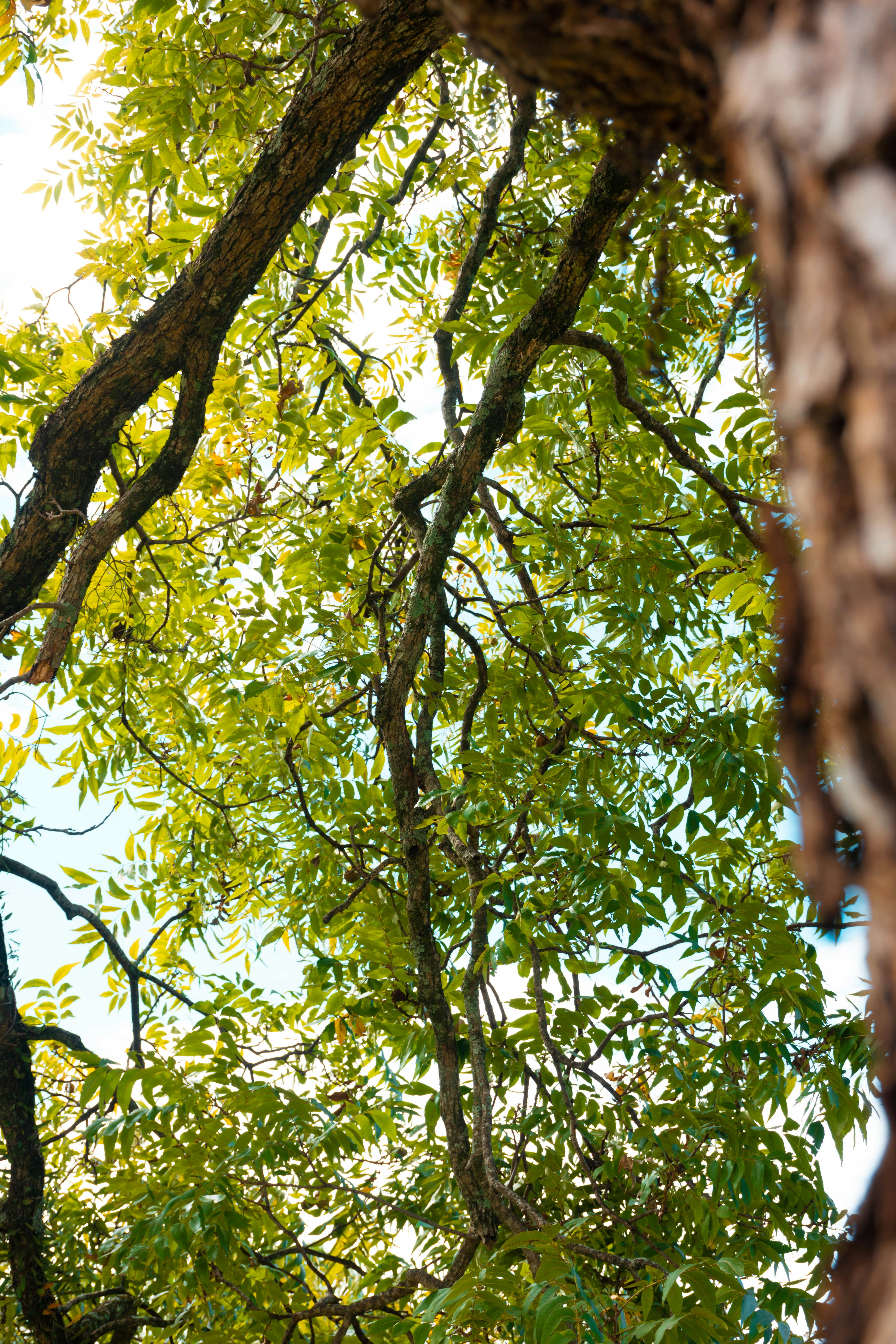 Photo by lucasgwendt