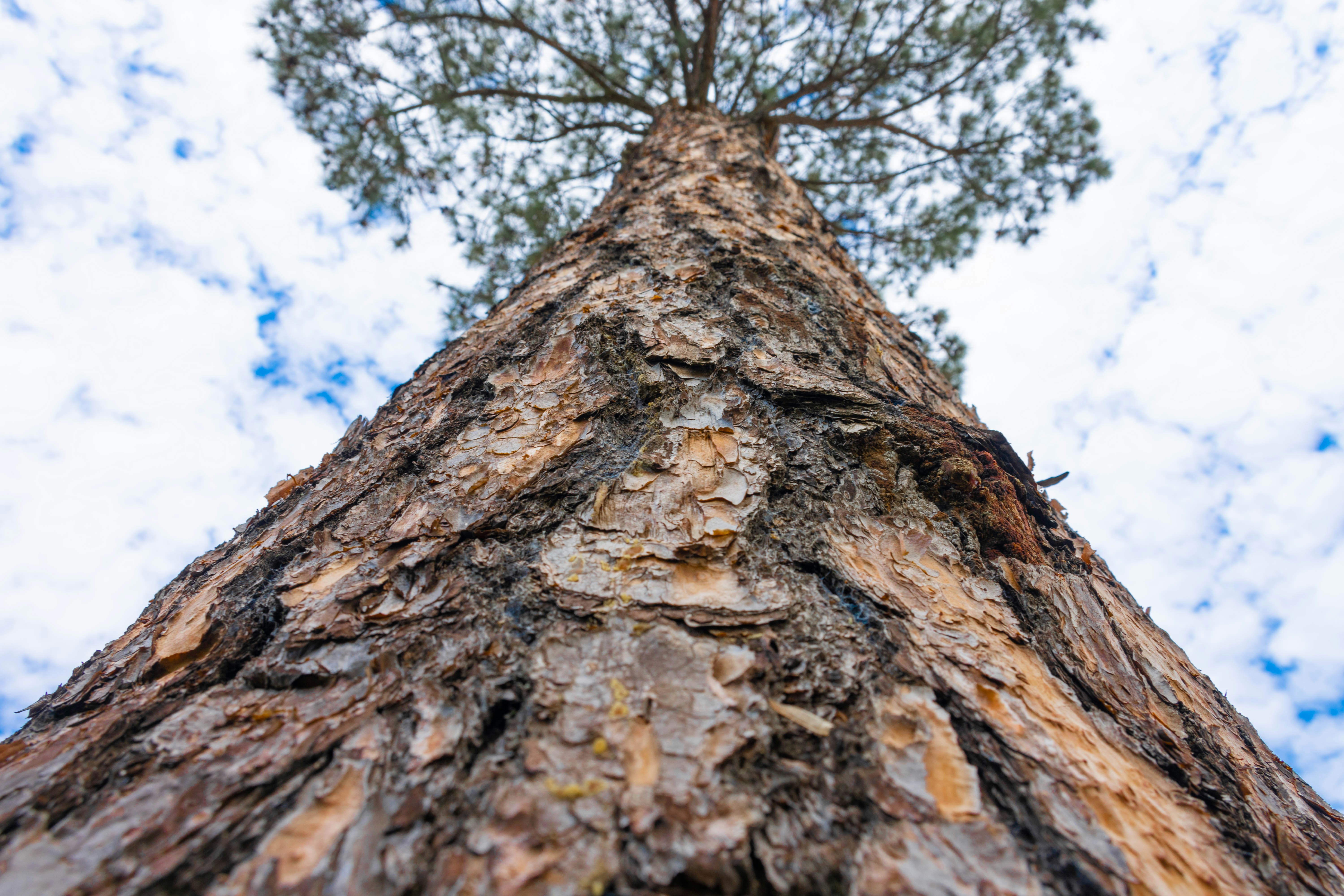 Photo by lucasgwendt