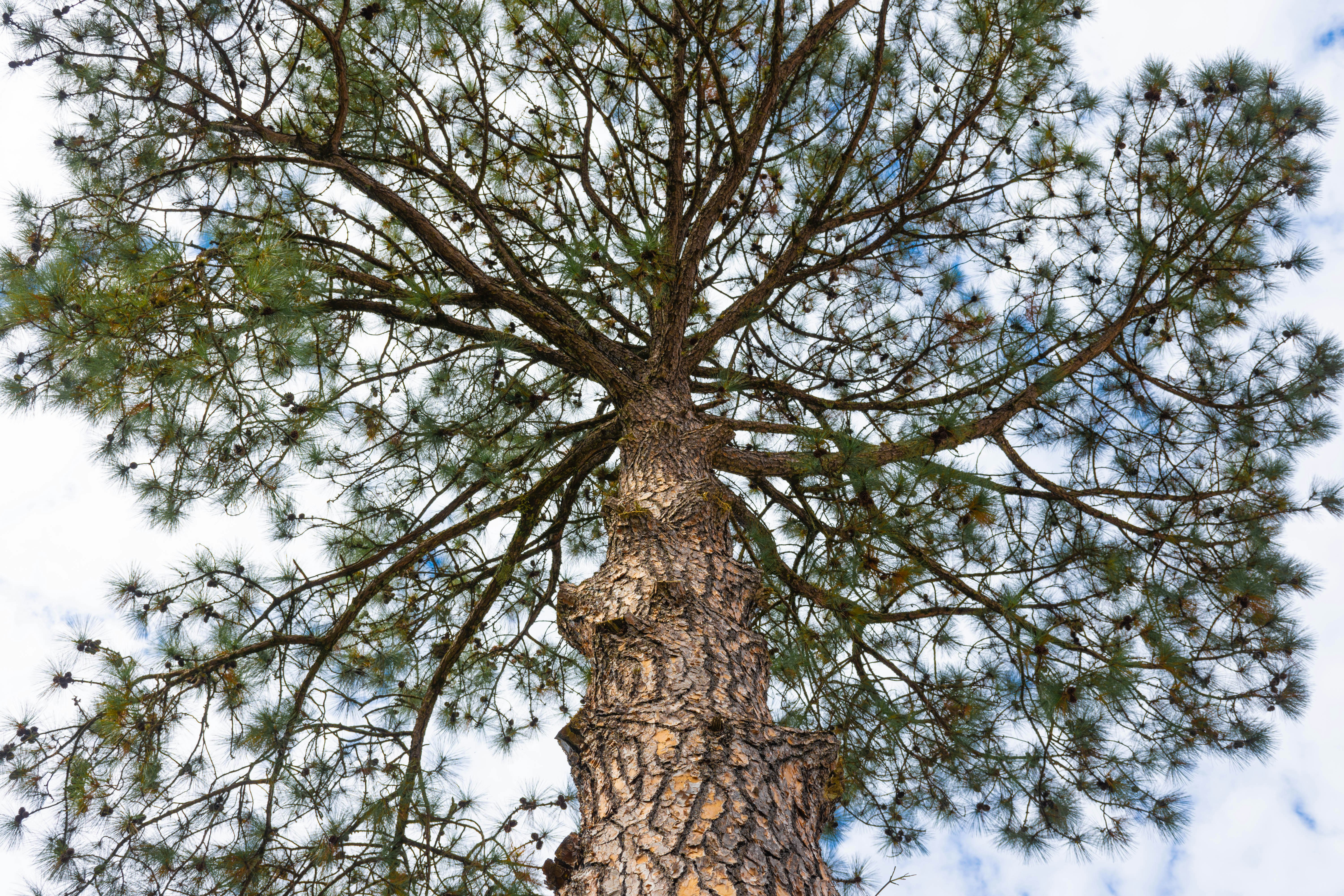 Photo by lucasgwendt