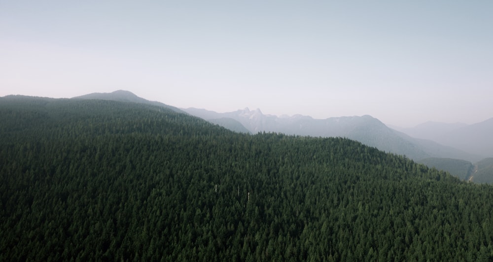 green grass field near mountain during daytime