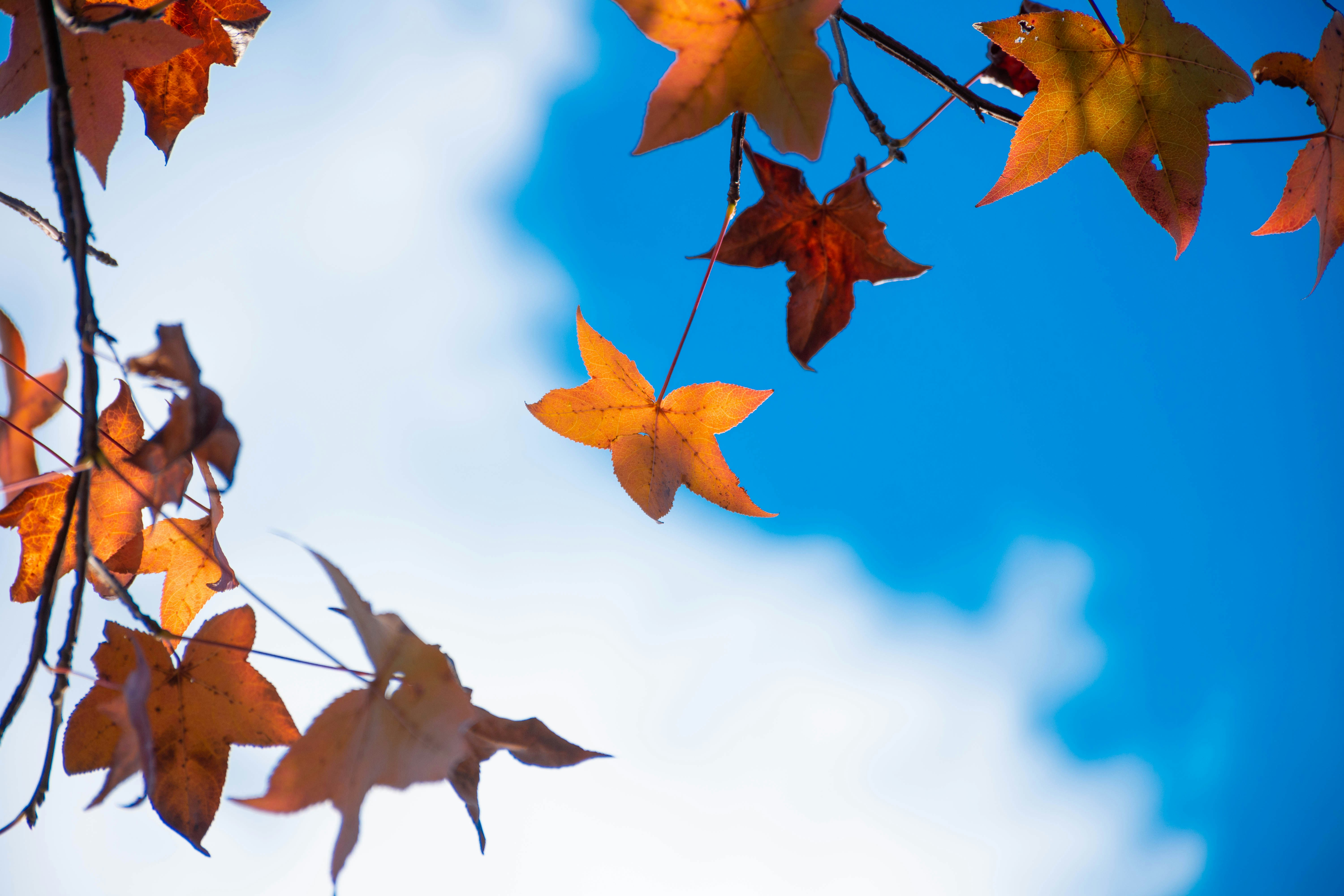 Photo by lucasgwendt