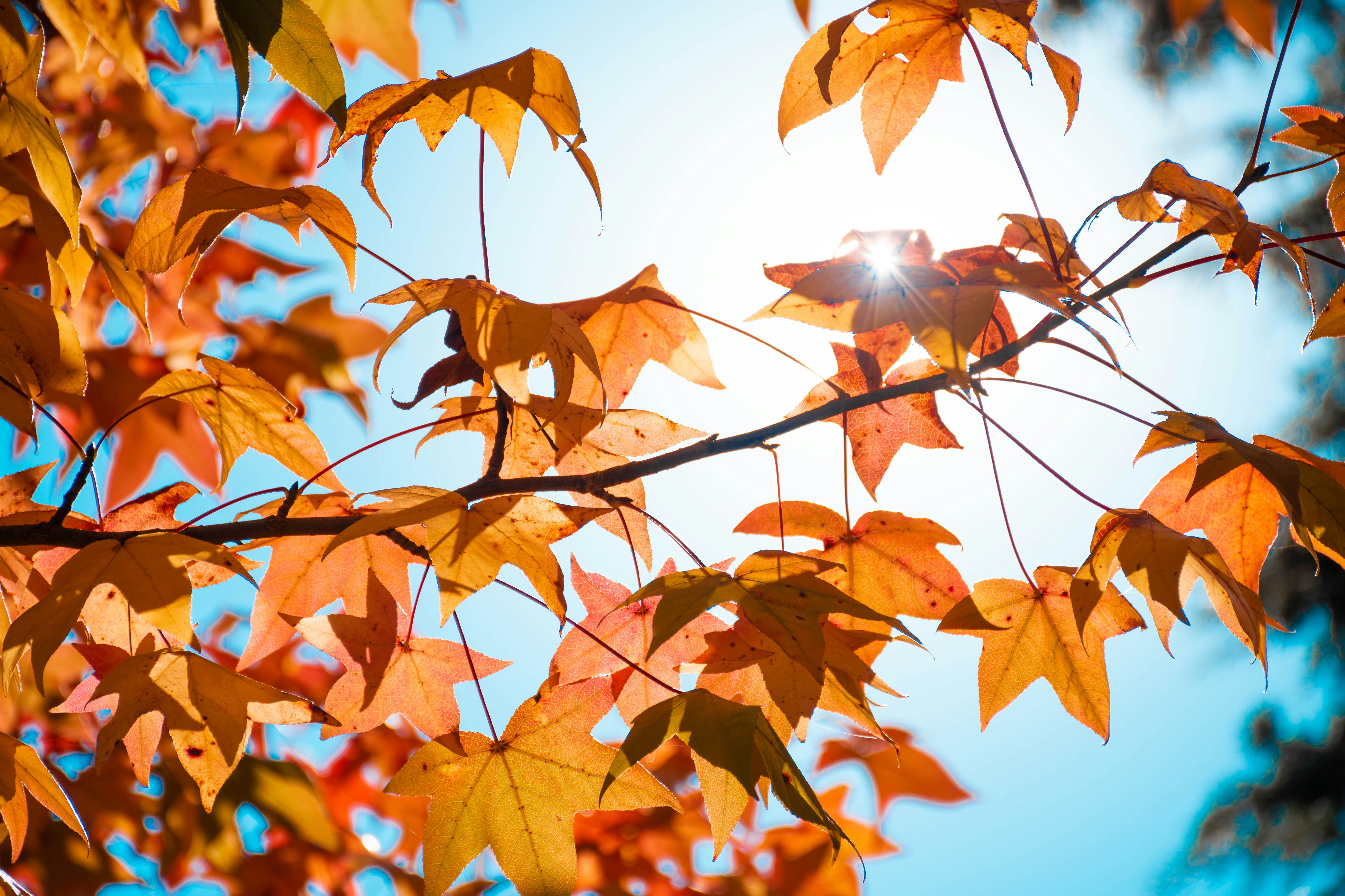 Photo by lucasgwendt