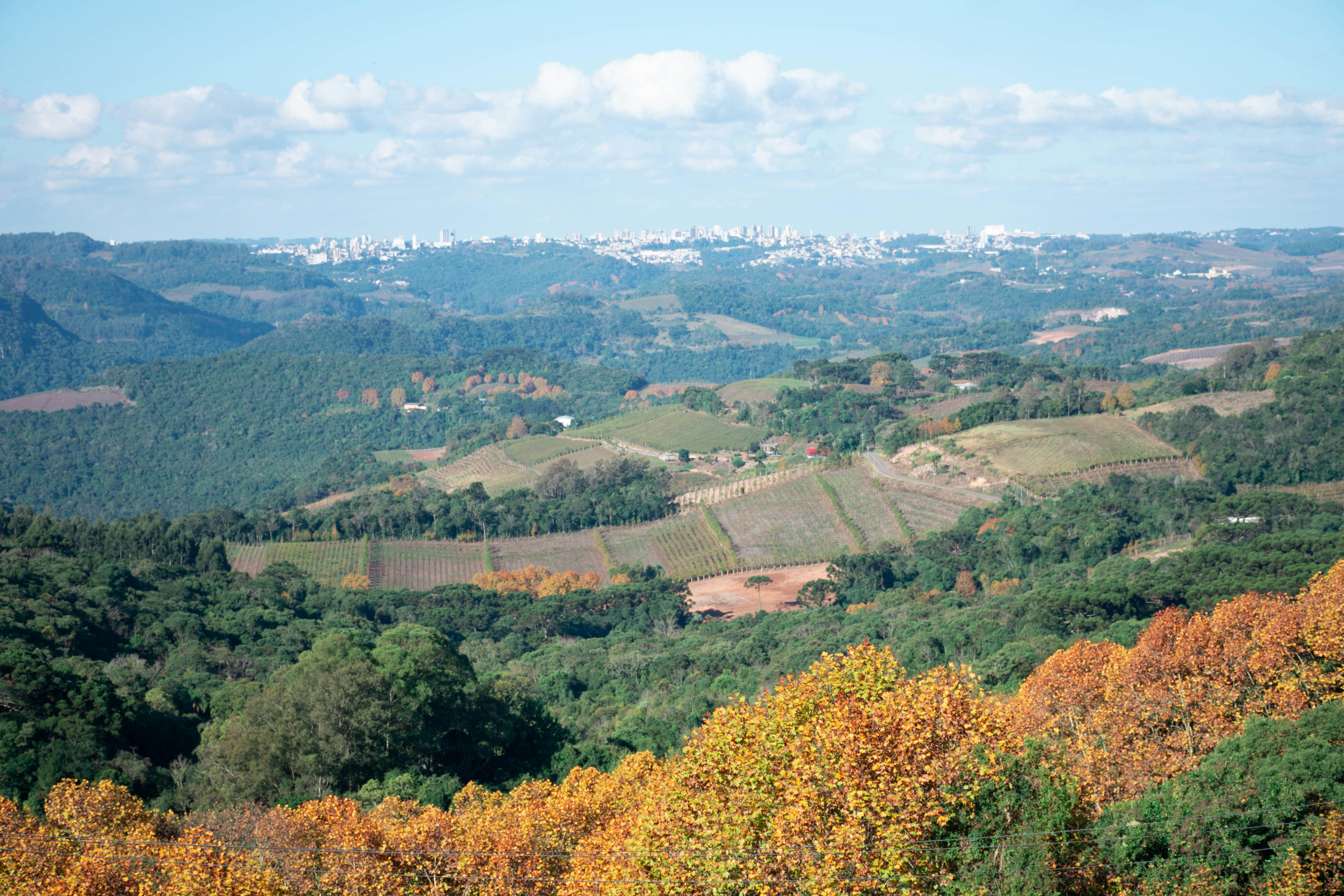 Image by Lucas George Wendt via Unsplash