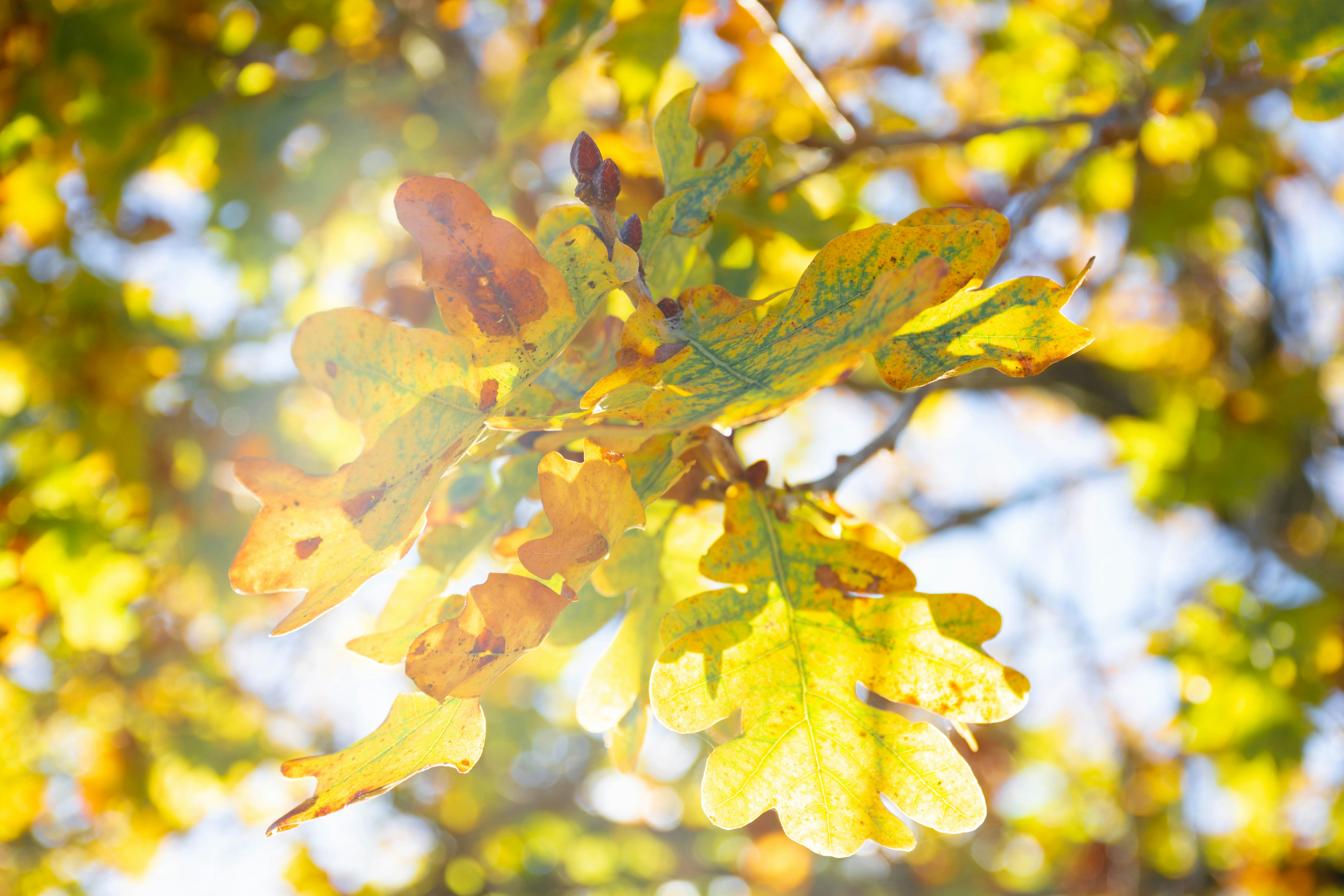 Photo by lucasgwendt