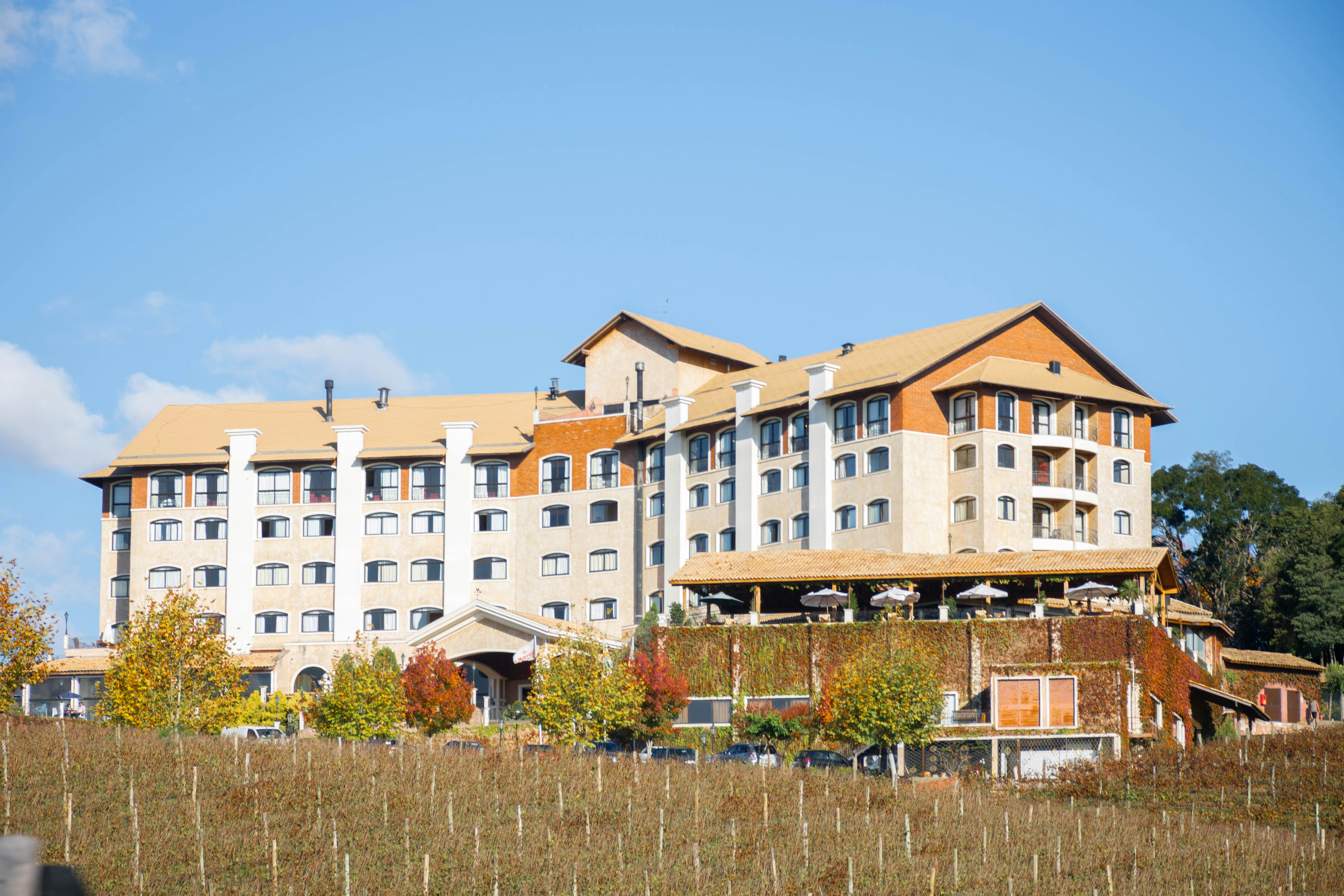 Photo by lucasgwendt