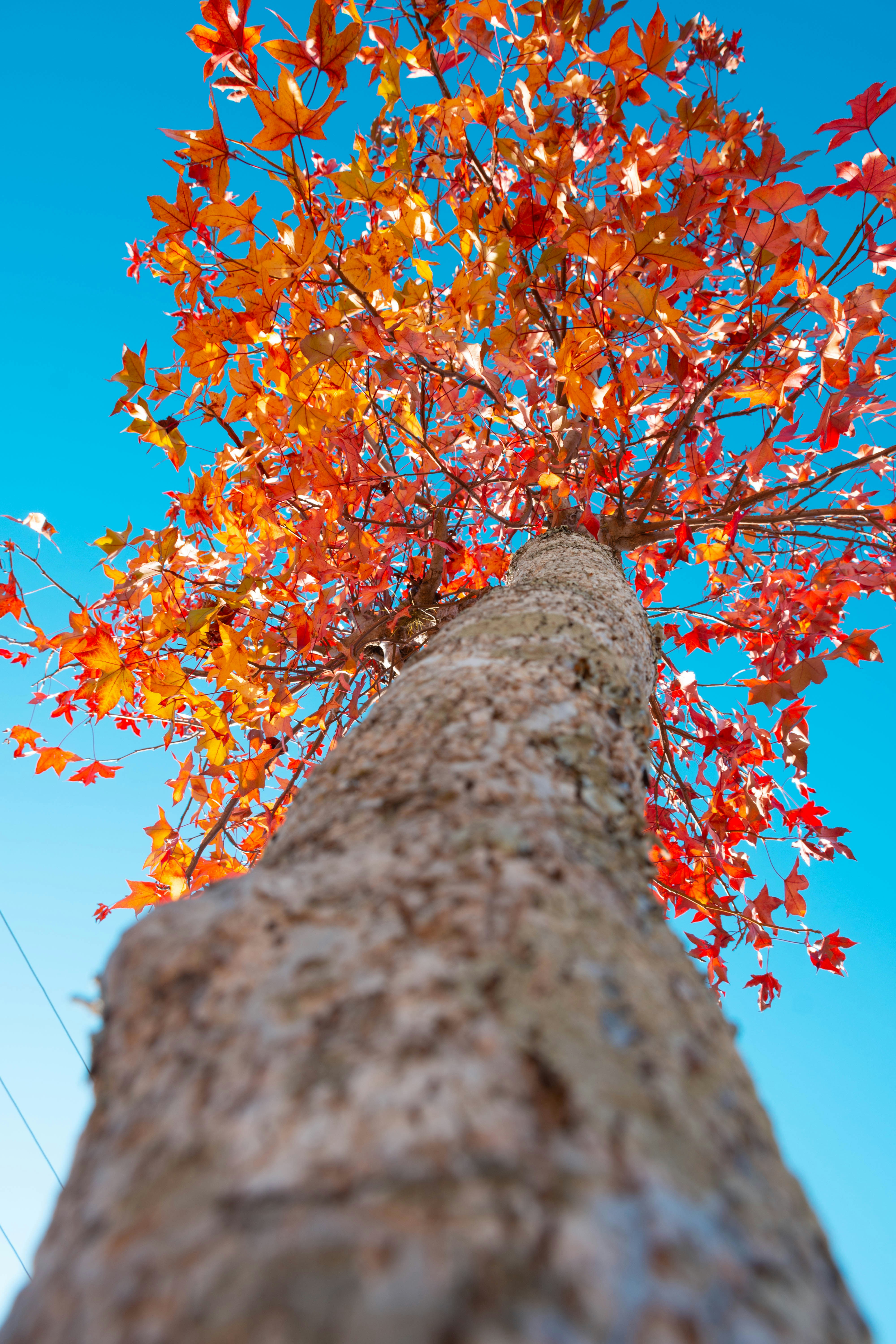 Photo by lucasgwendt