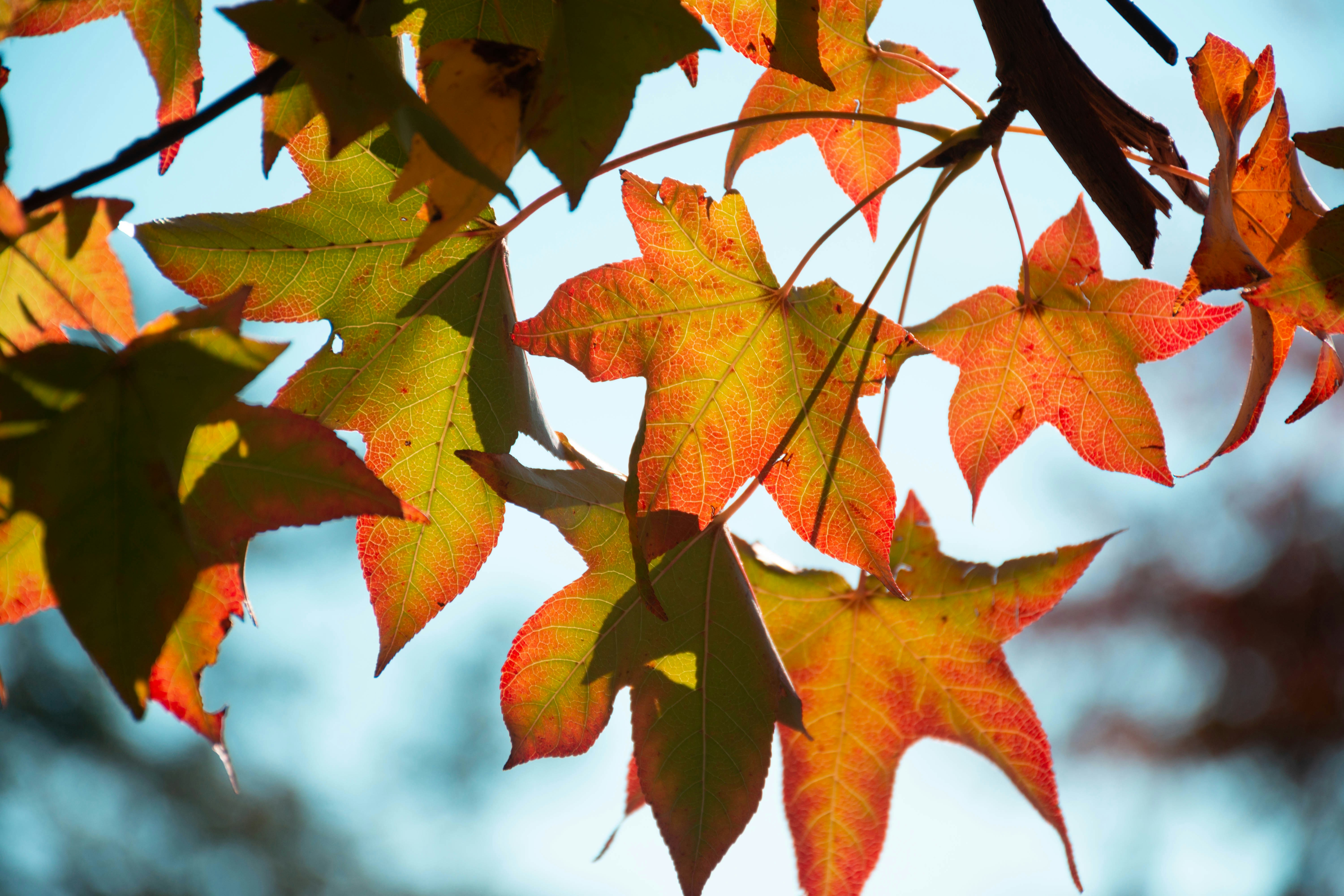 Photo by lucasgwendt