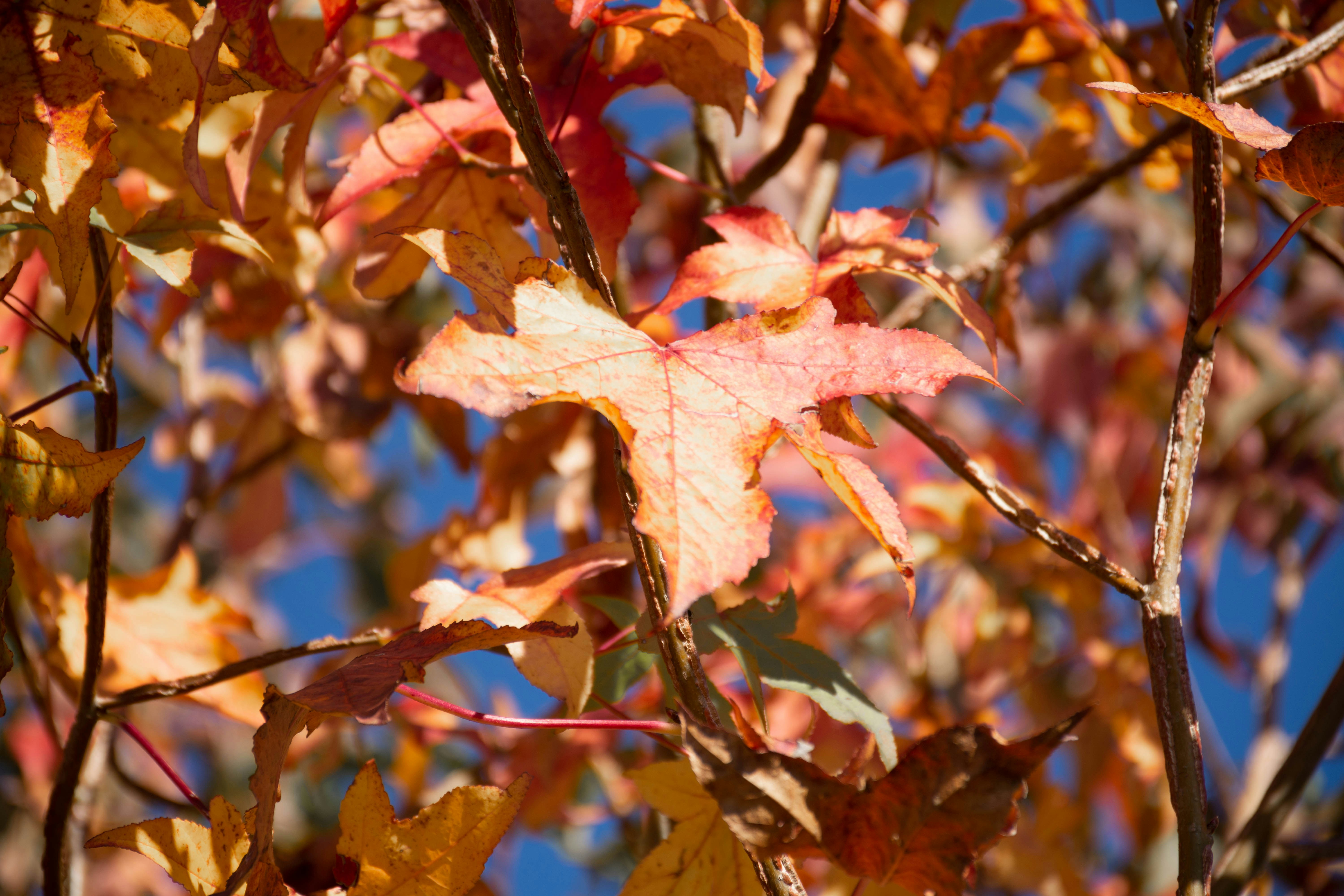 Photo by lucasgwendt