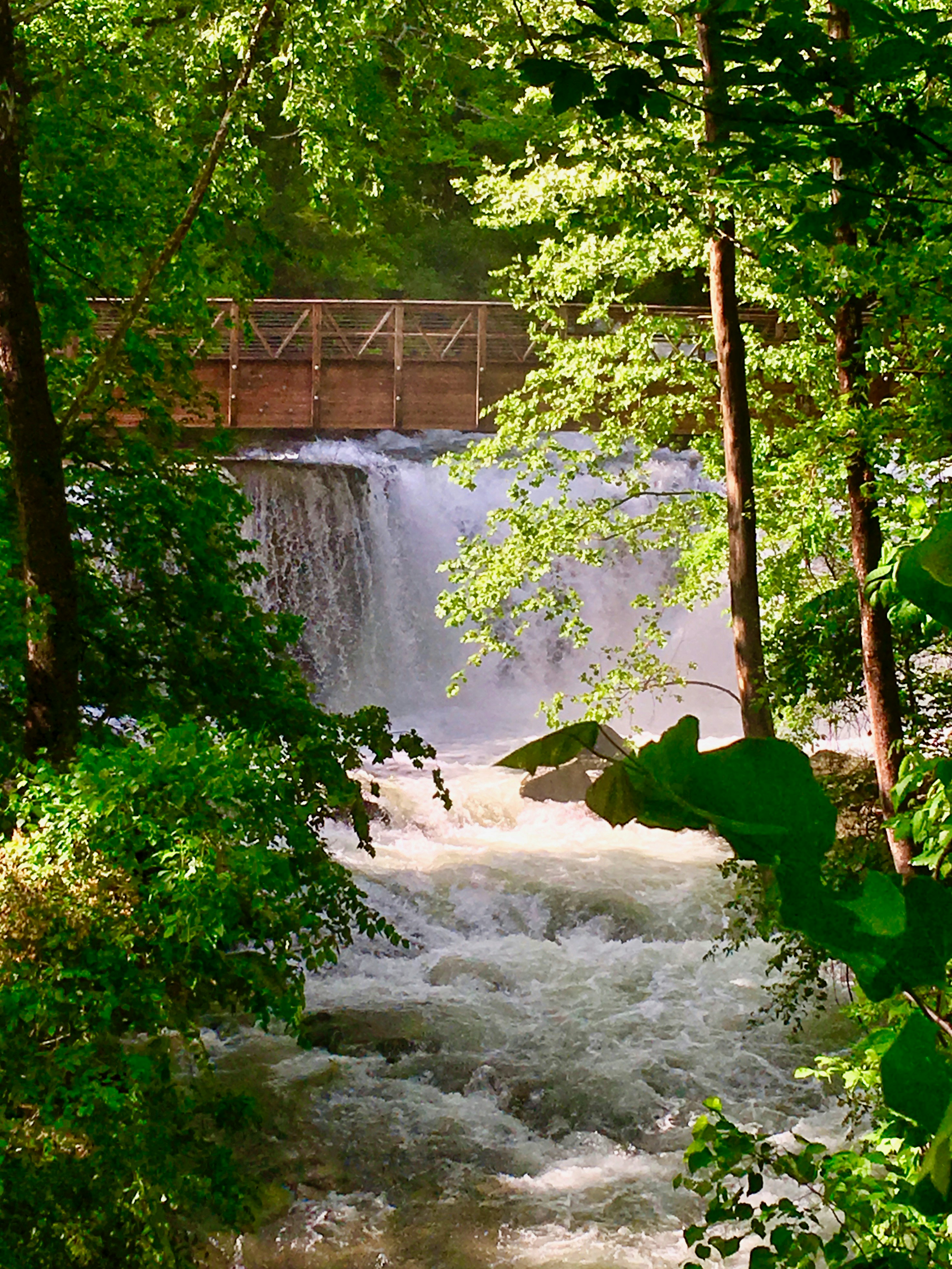 Photo by brianbreeding