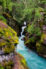 green moss on rocky river
