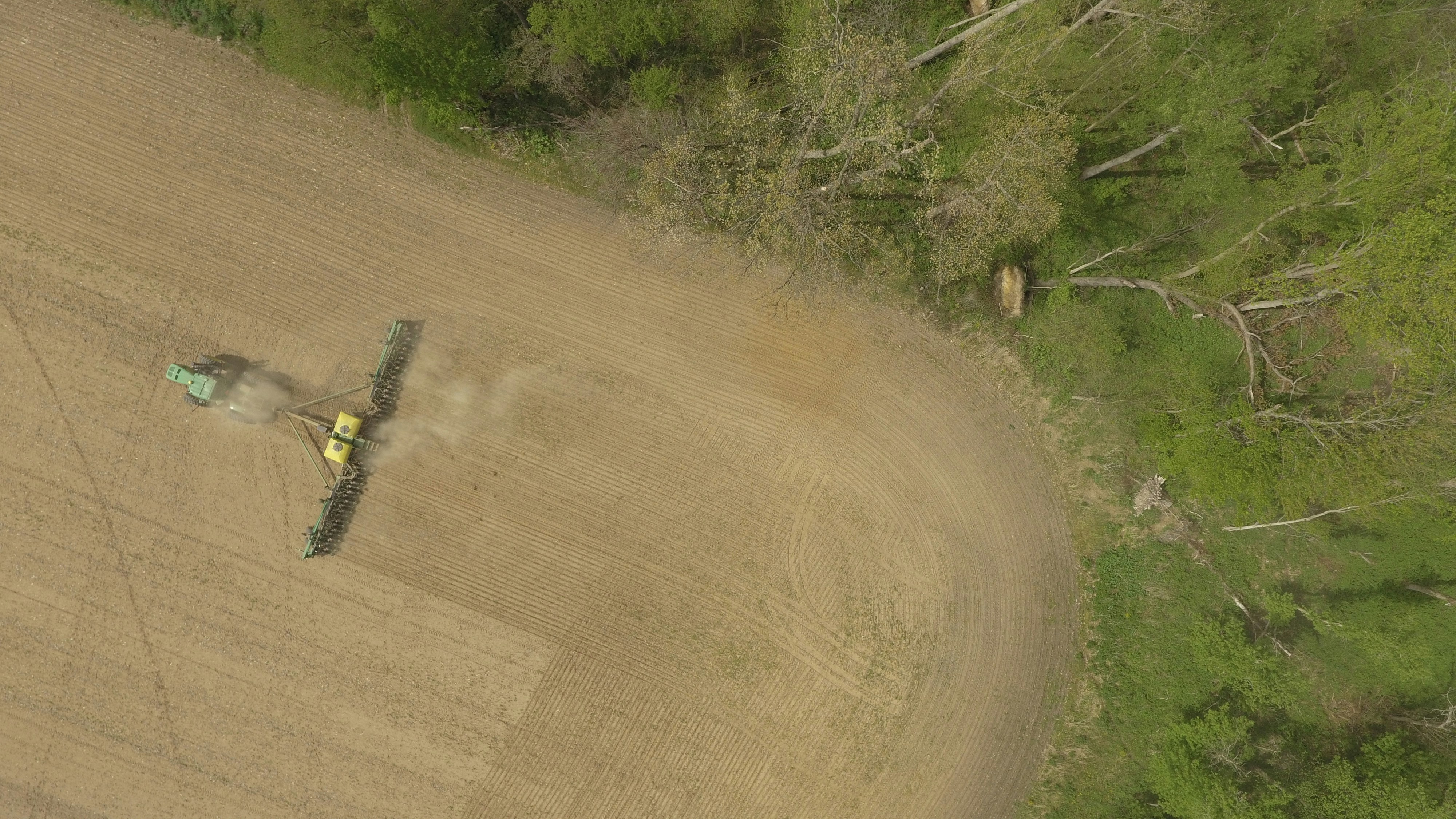 brown dirt road near green grass during daytime
