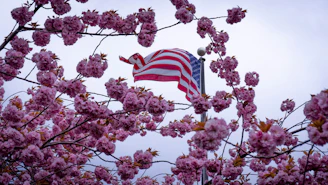 Colorful spring-themed illustration with red, white, and blue accents representing the USA.
