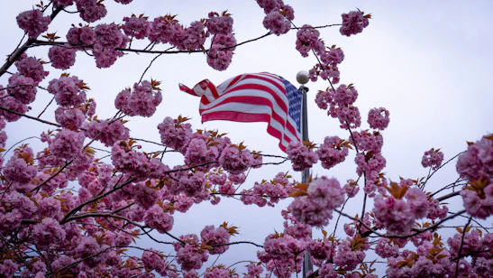 Colorful spring-themed illustration with red, white, and blue accents representing the USA.