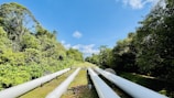 Large white pipelines run parallel through a lush green landscape, bordered by dense trees on either side, under a clear blue sky.