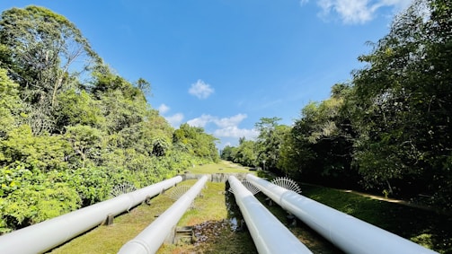 Large white pipelines run parallel through a lush green landscape, bordered by dense trees on either side, under a clear blue sky.