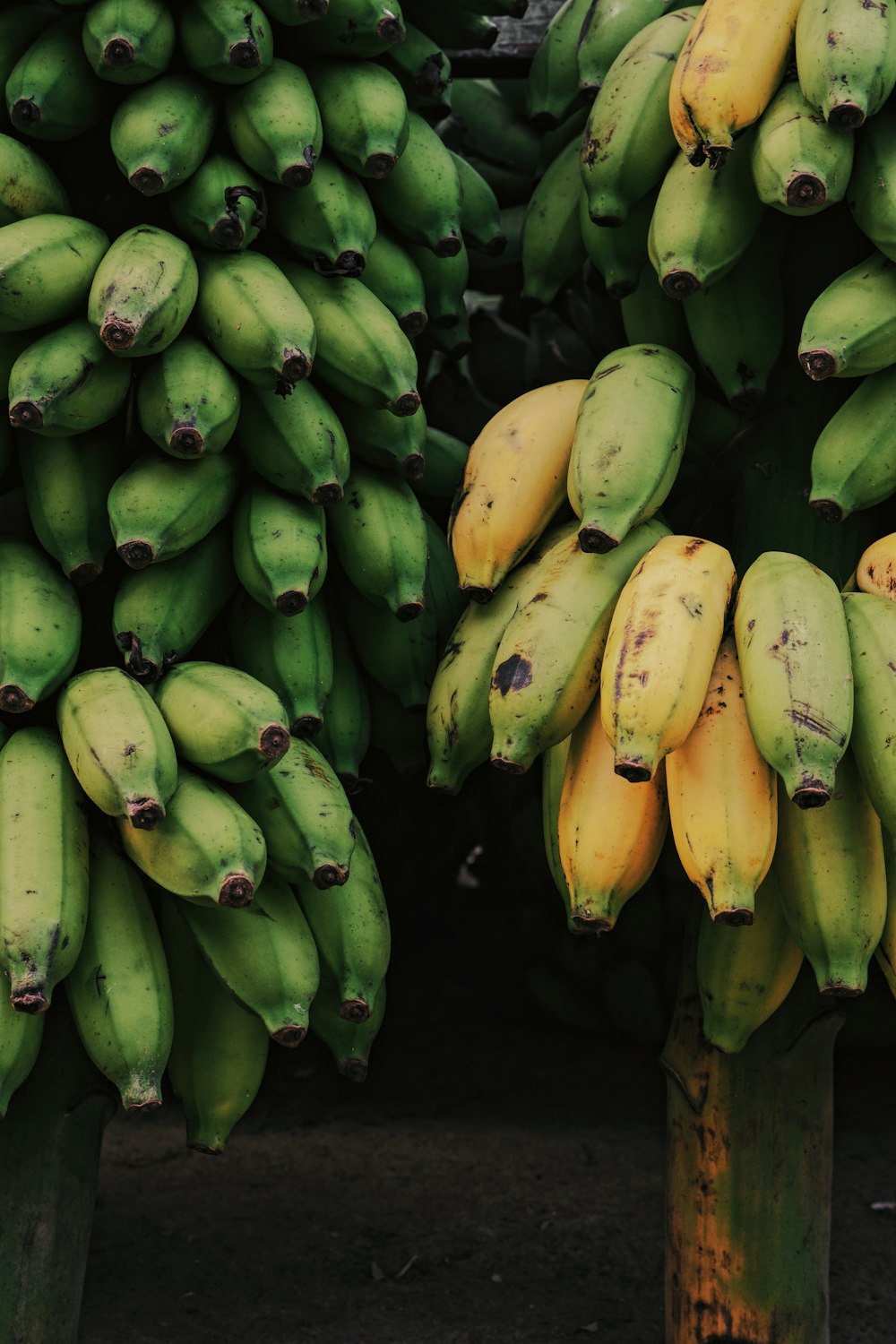 green banana fruit on black surface