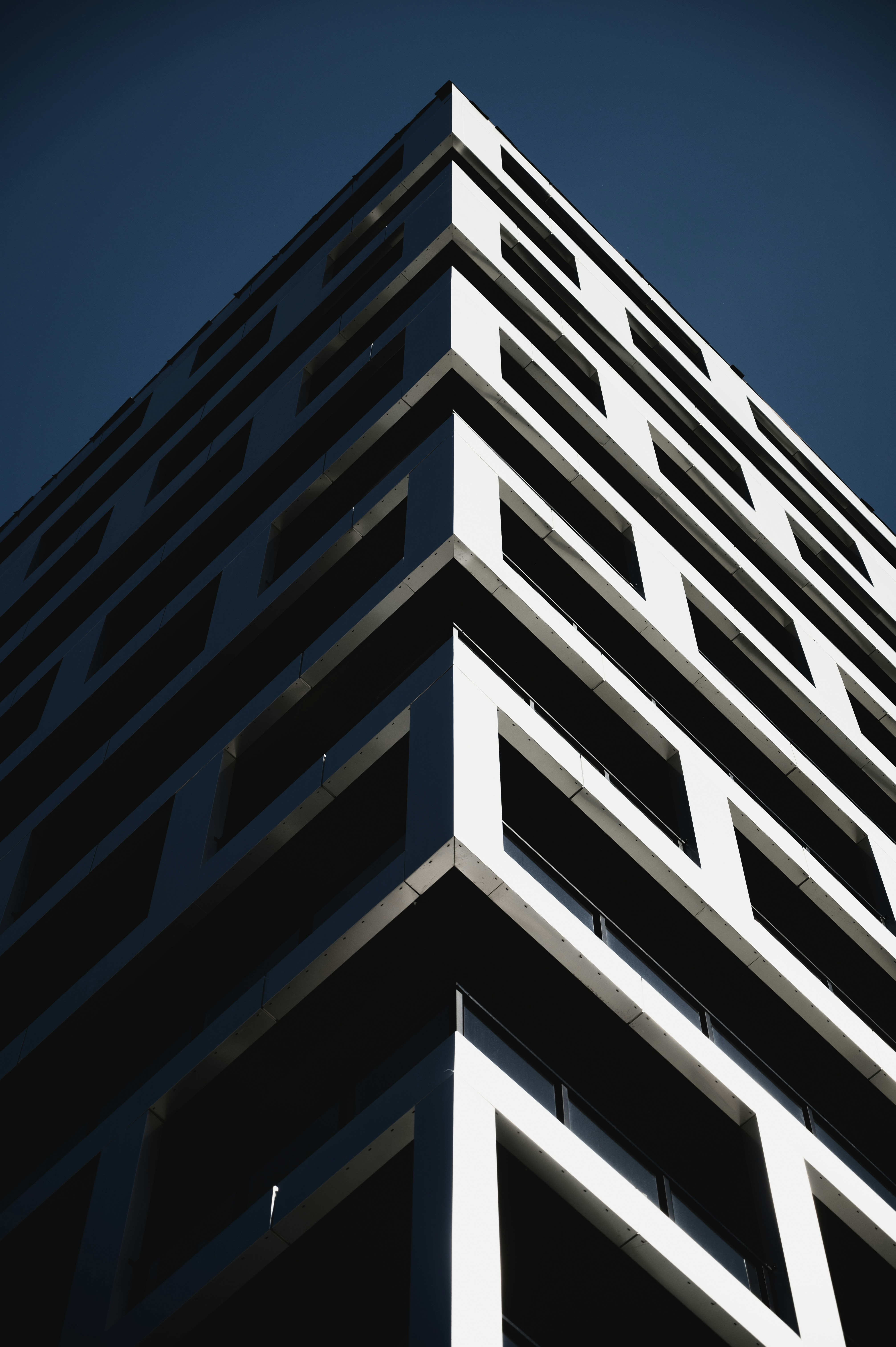 Photo by ryunosuke_kikuno