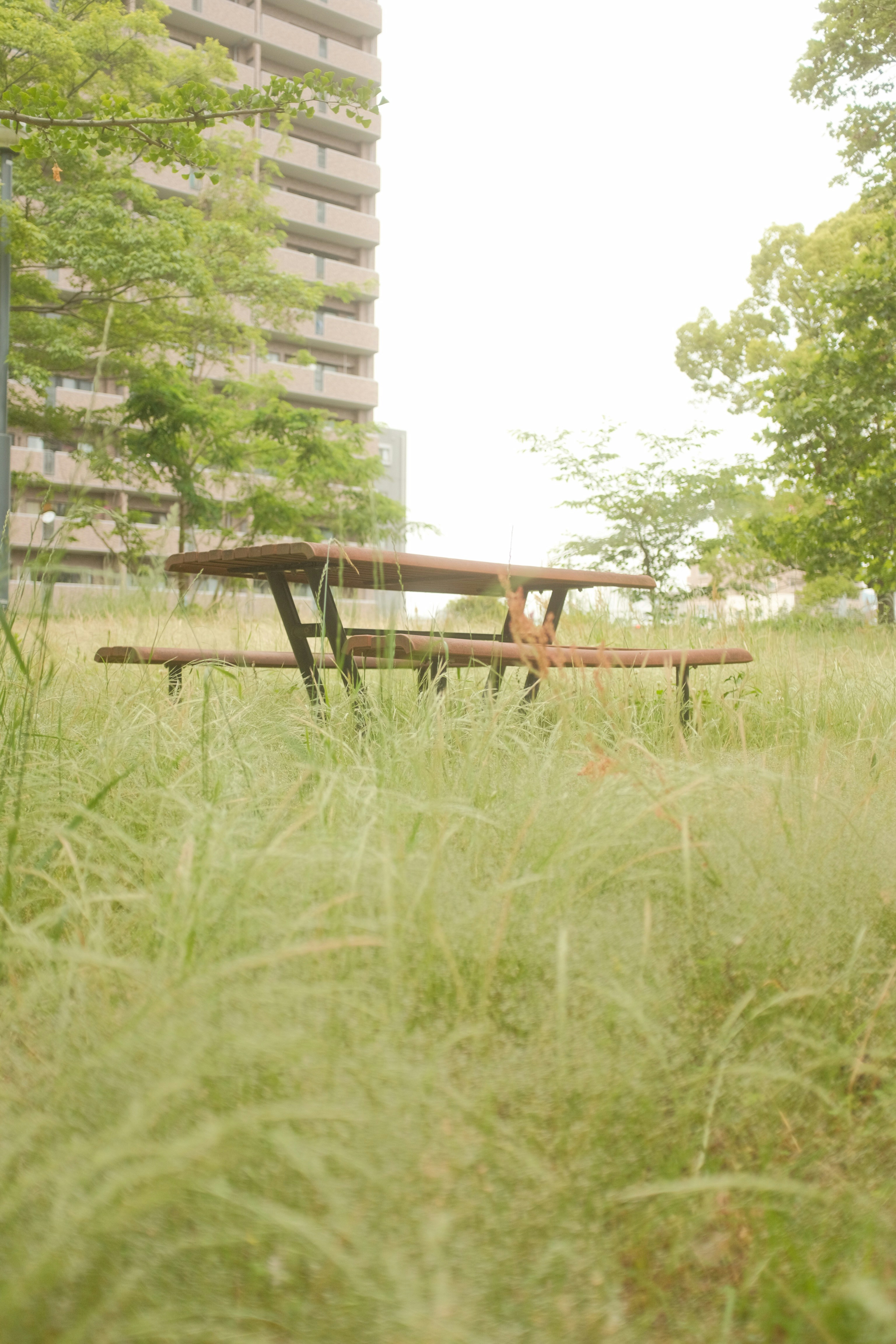 Brown wooden picnic table on green grass field during daytime photo ...