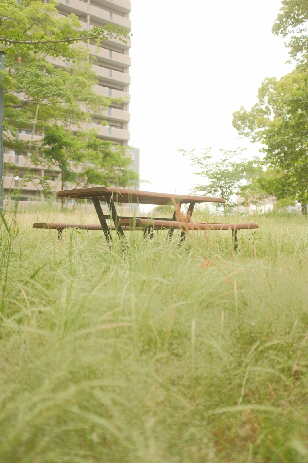 brown wooden picnic table on green grass field during daytime