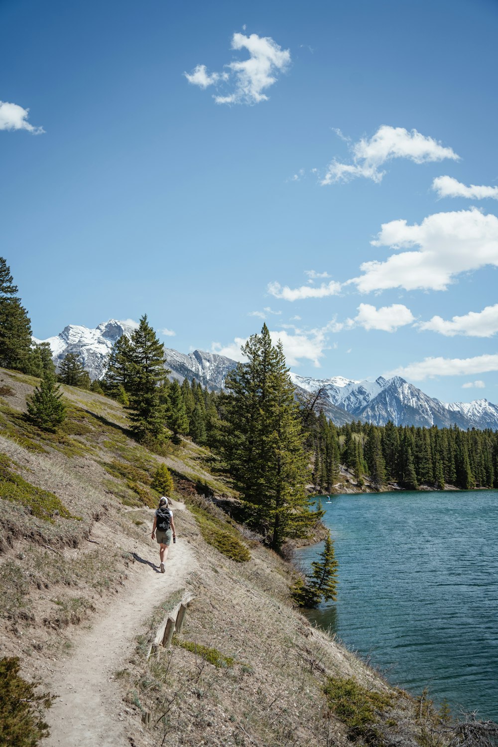 person in gray jacket walking on brown dirt road near green pine trees during daytime