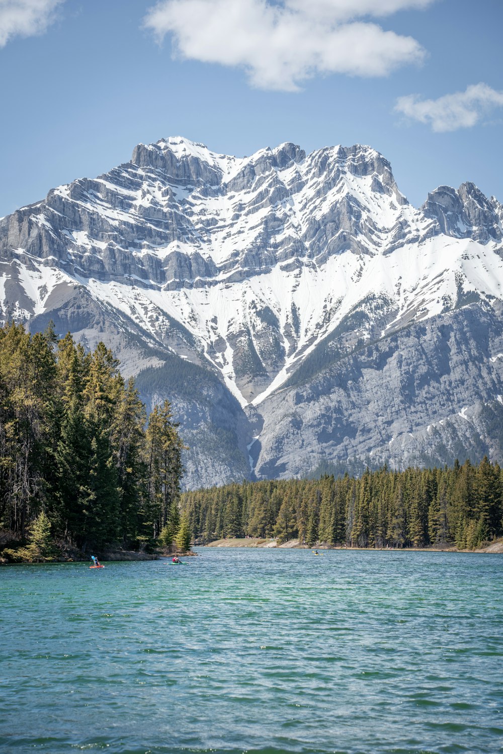 Grüne Kiefern in der Nähe des schneebedeckten Berges während des Tages