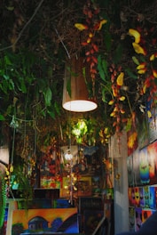 A bright, airy room filled with colorful decor and plants, showcasing a lively atmosphere.