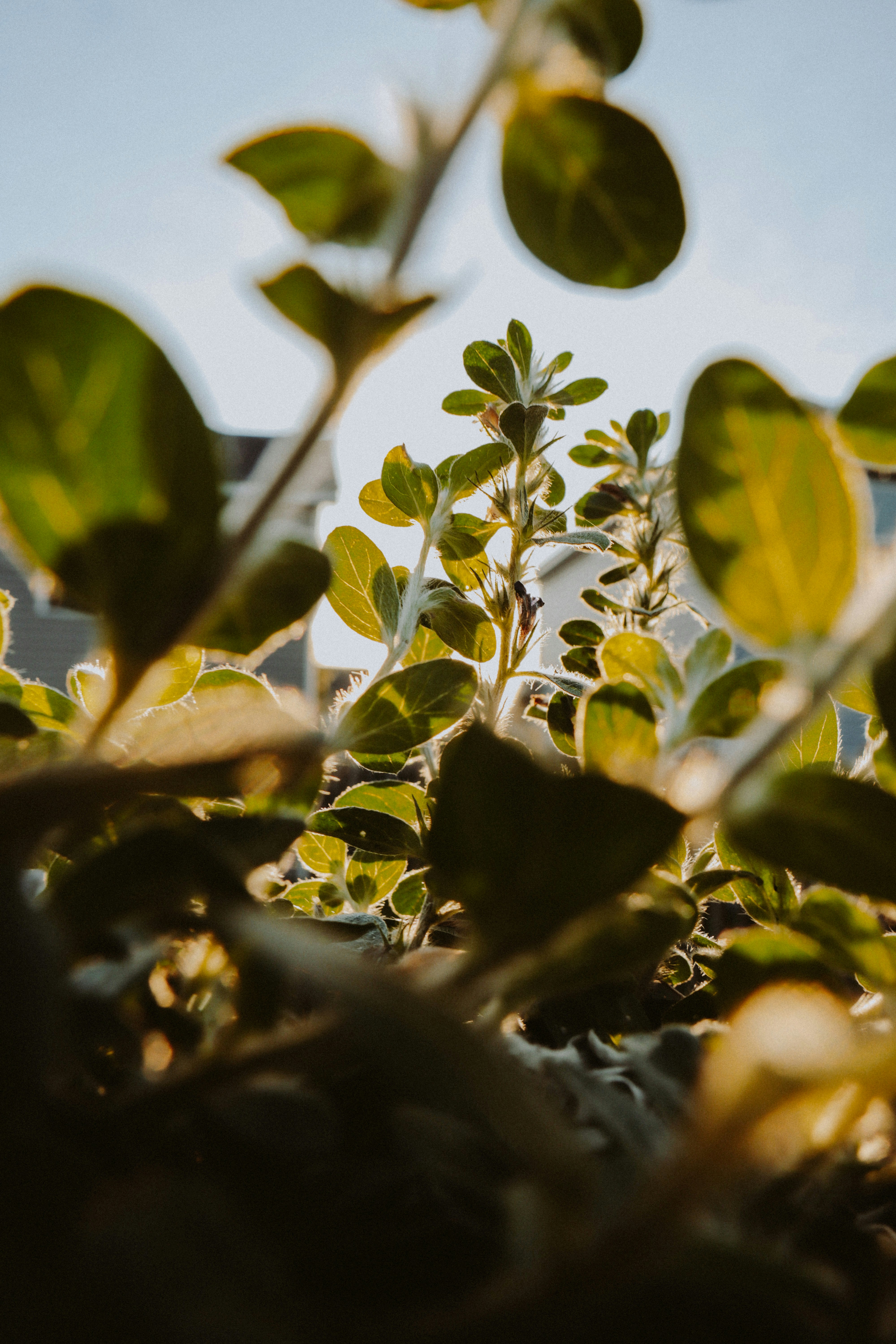 Photo by manuelthelensman