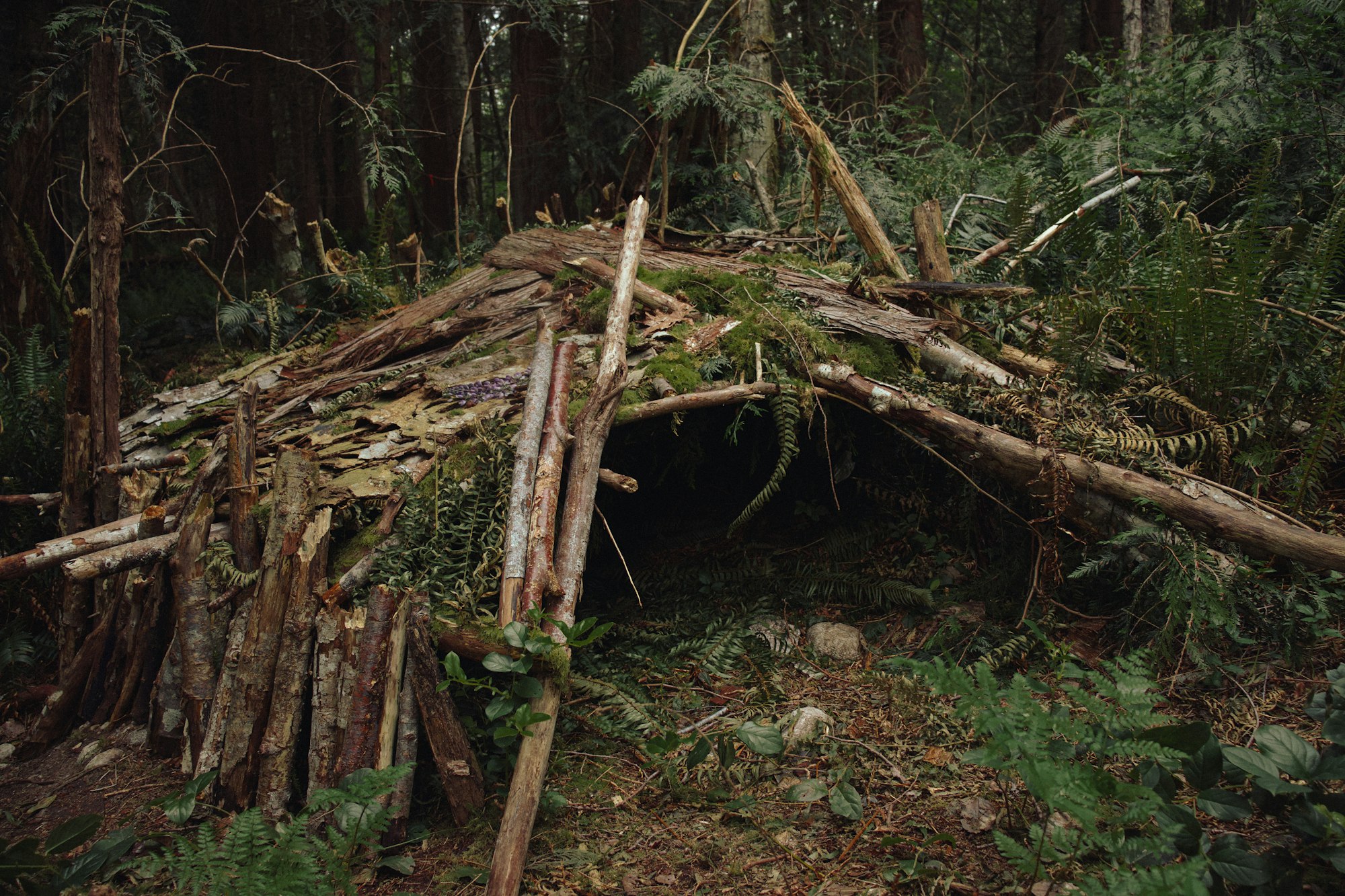 a survival shelter