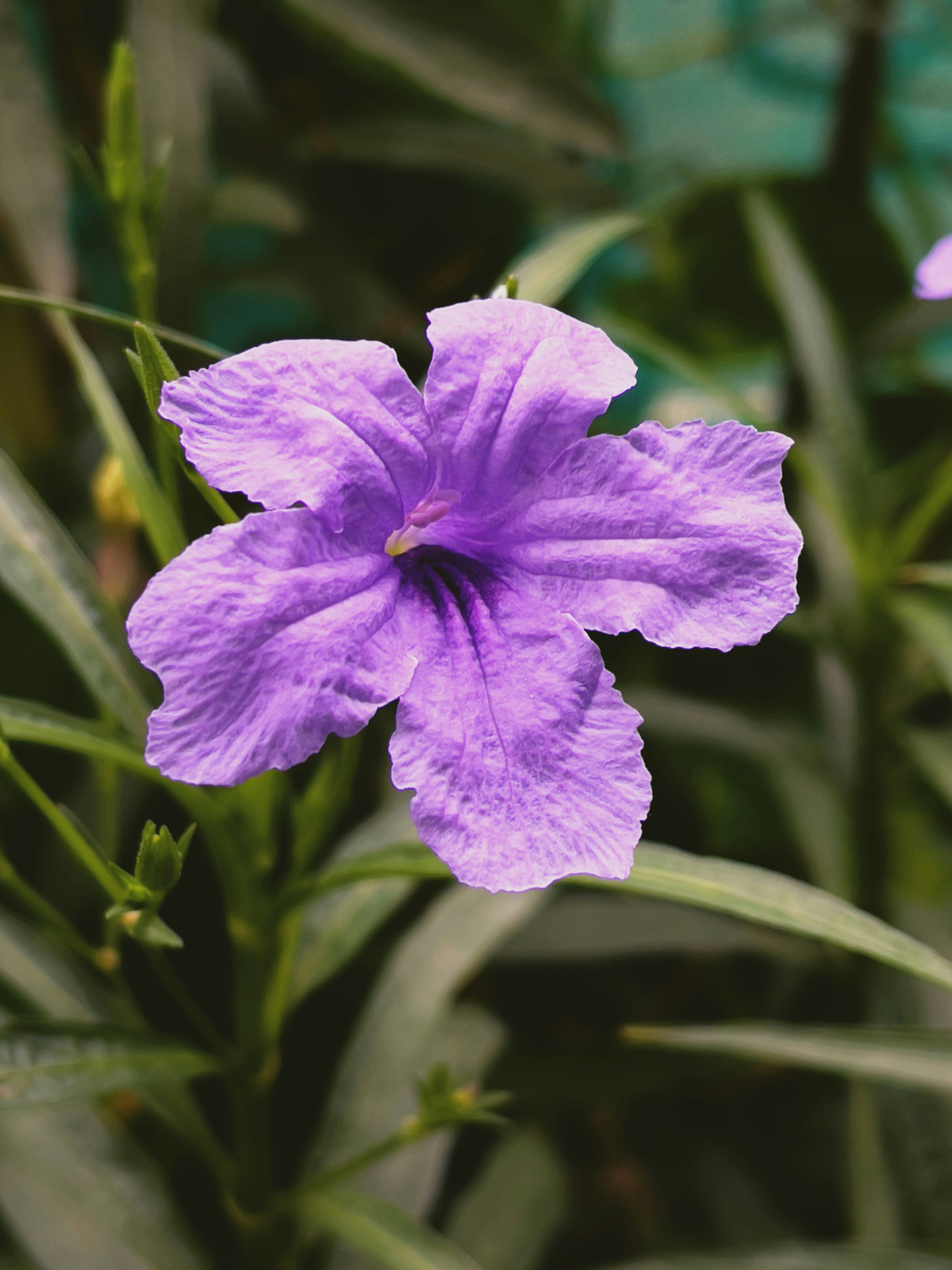 Photo by captain_slow07