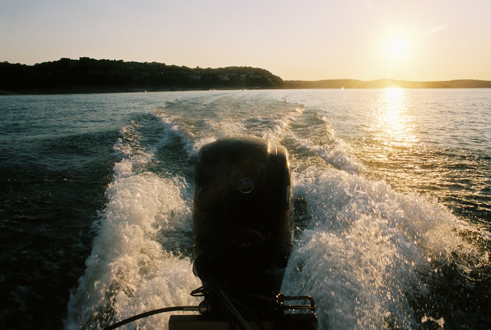 black and white cat on boat during daytime