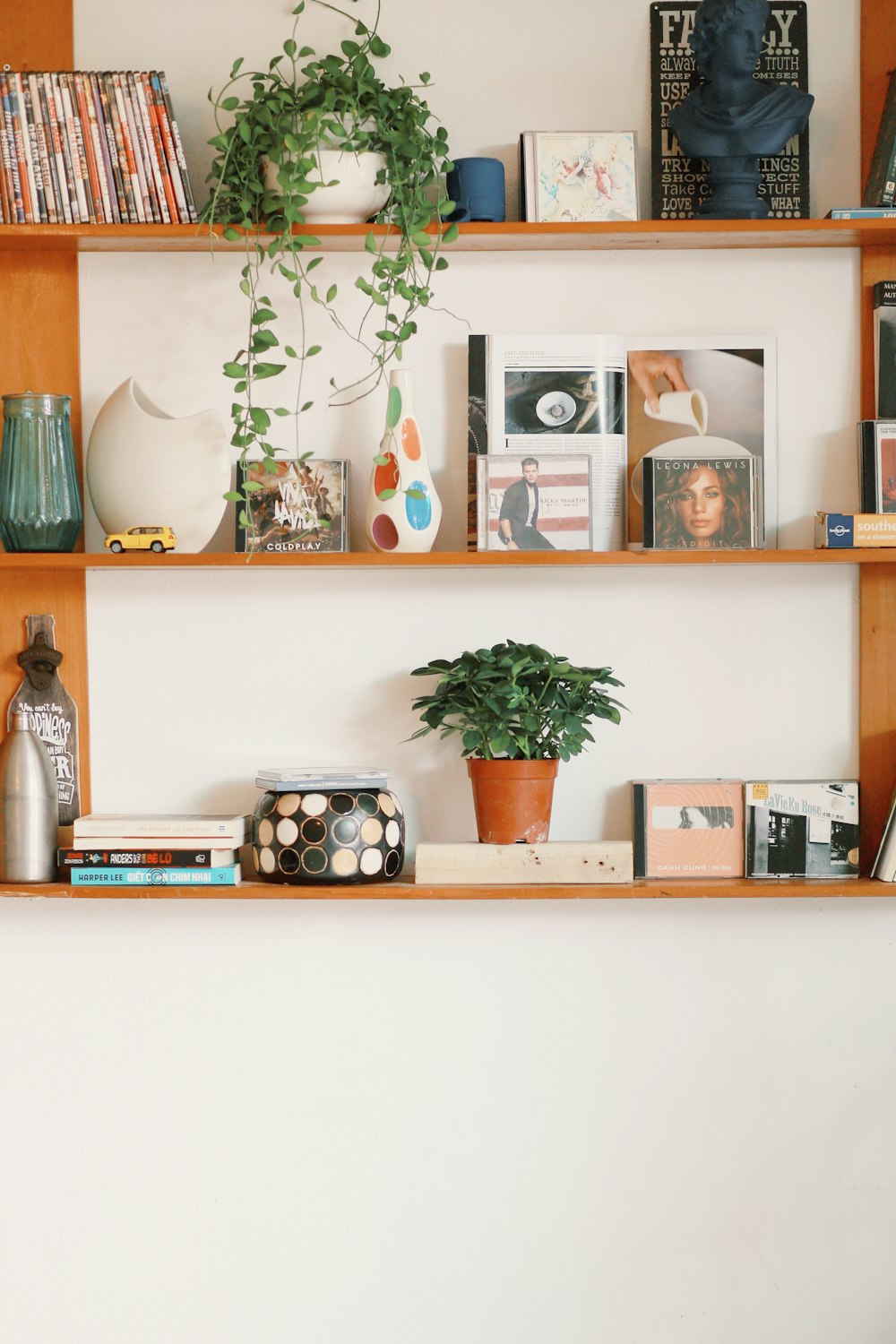 green potted plant on white wooden shelf