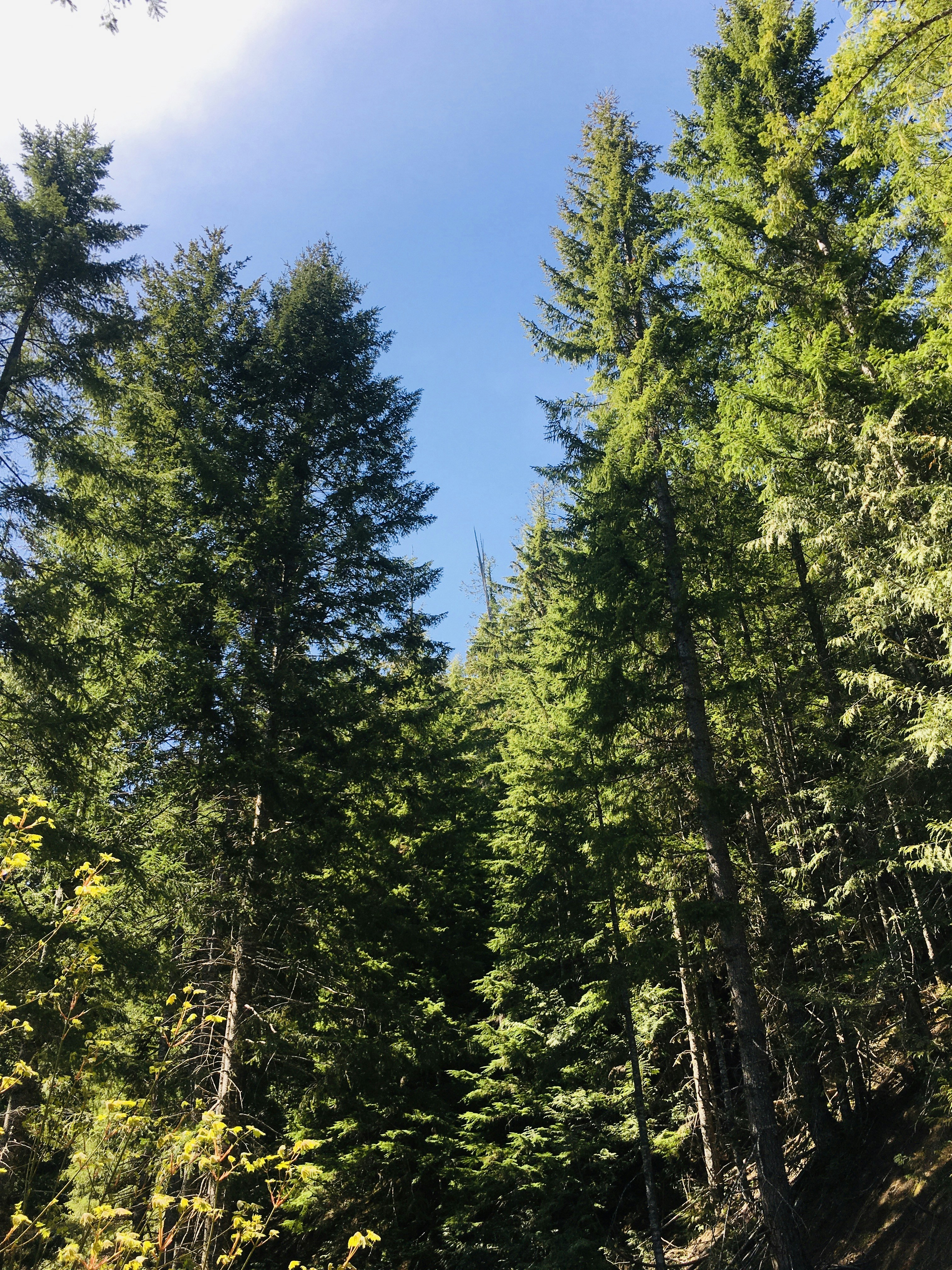 Photo by rwandan_prince