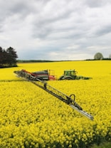 A green tractor is working in a vast field of bright yellow flowers, likely canola or rapeseed. The tractor is towing a large sprayer, applying substances over the crop. In the background, a line of trees separates the field from a cloudy sky.