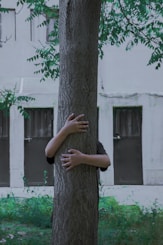 person climbing on tree during daytime