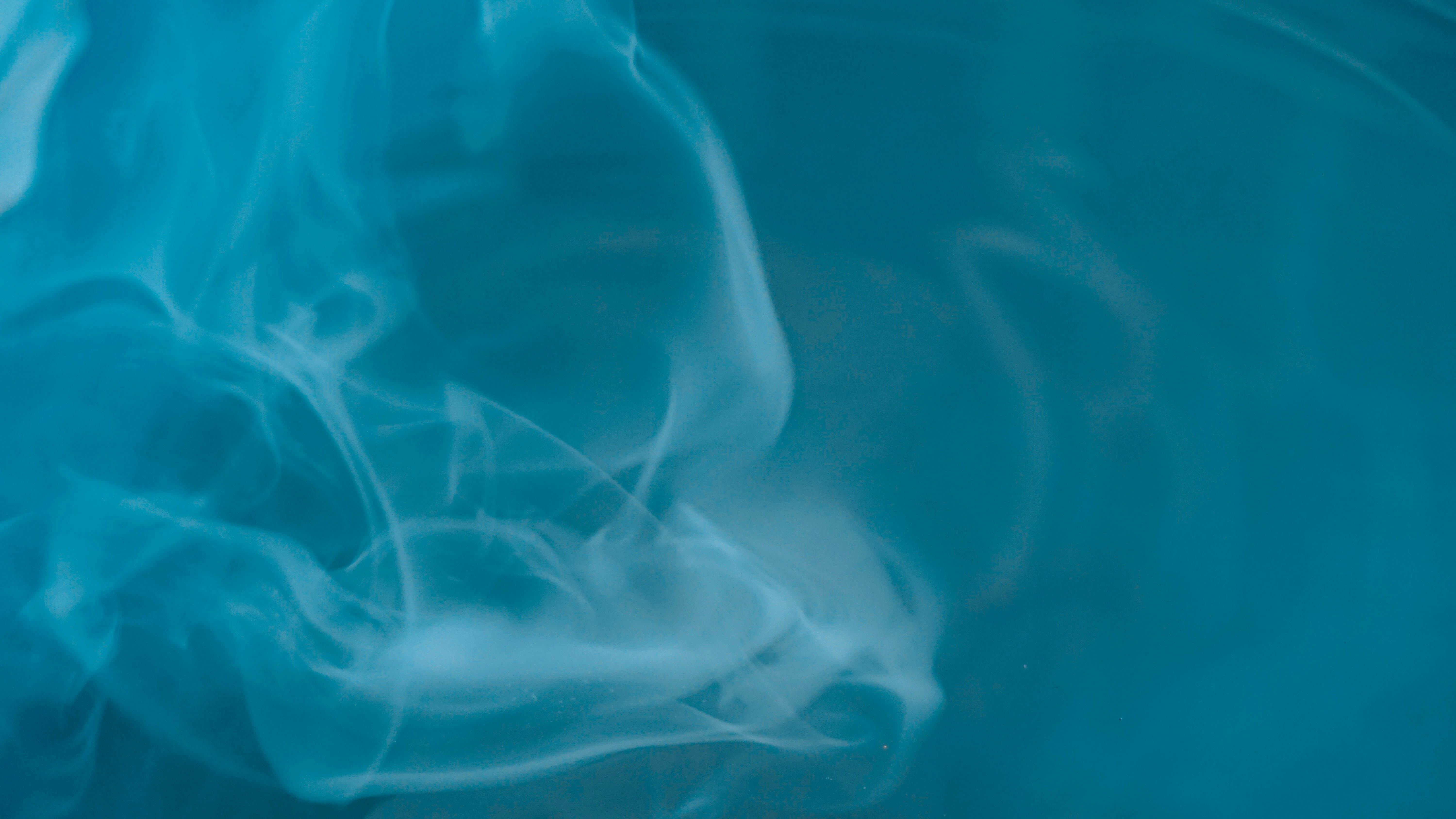 Photo by gyallarhorn