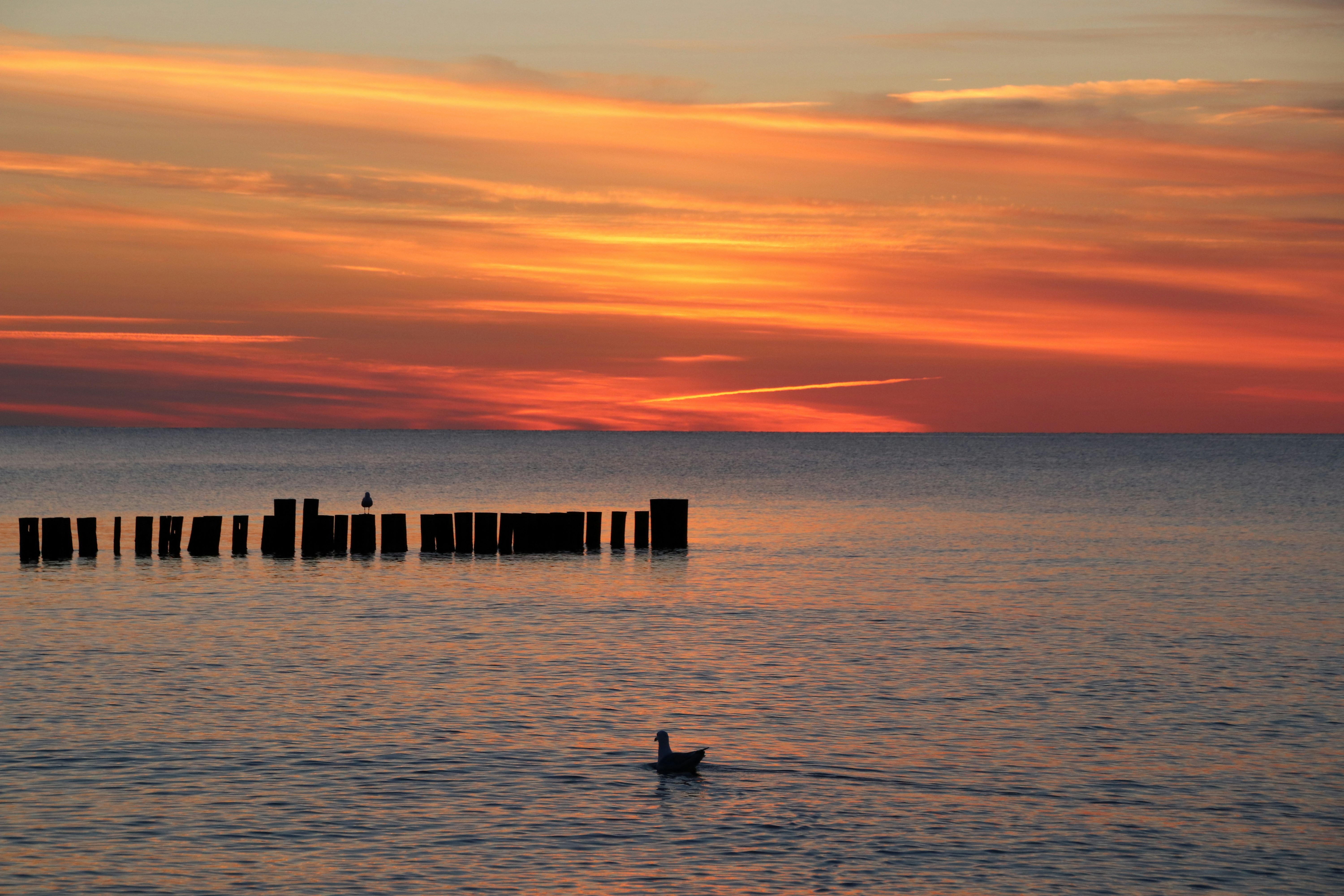 silhouette of person on sea dock during sunset