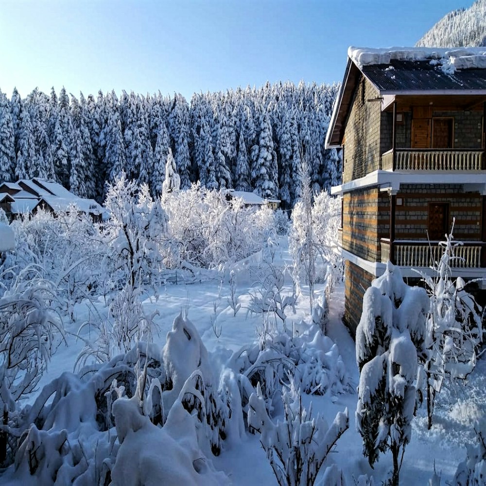 brown wooden house covered with snow during daytime